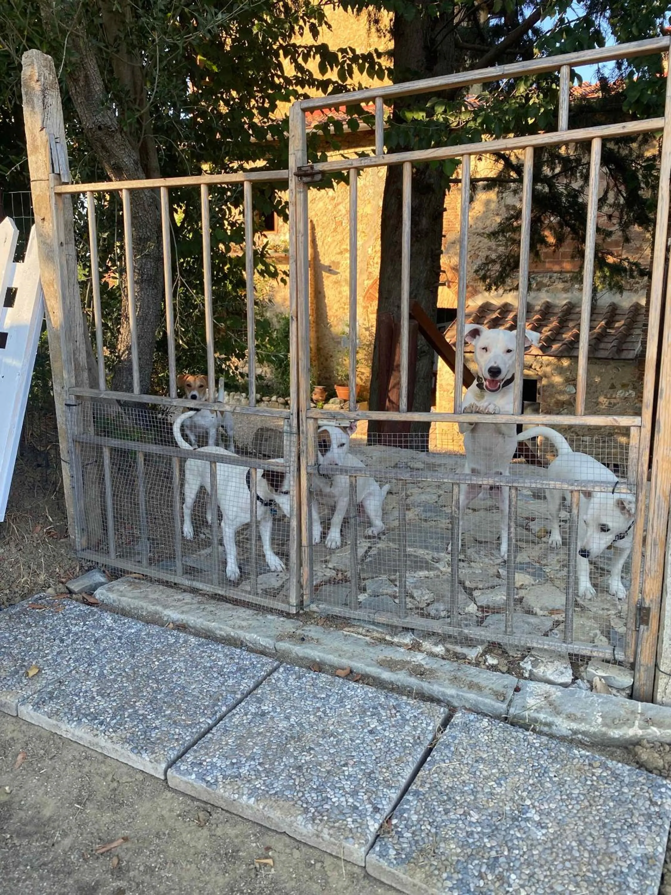 Staff in Campora House