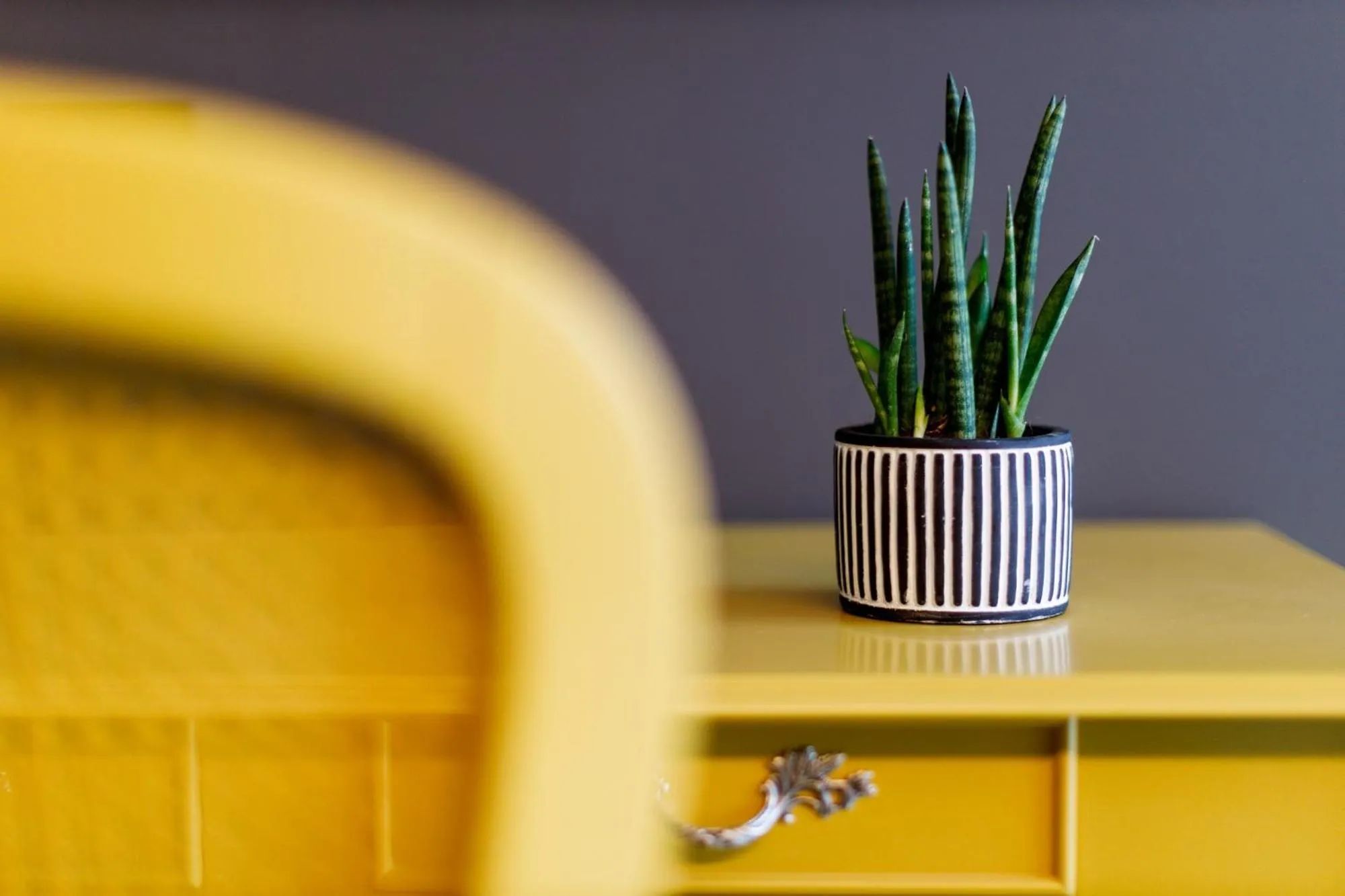 Decorative detail in Deville & Spa