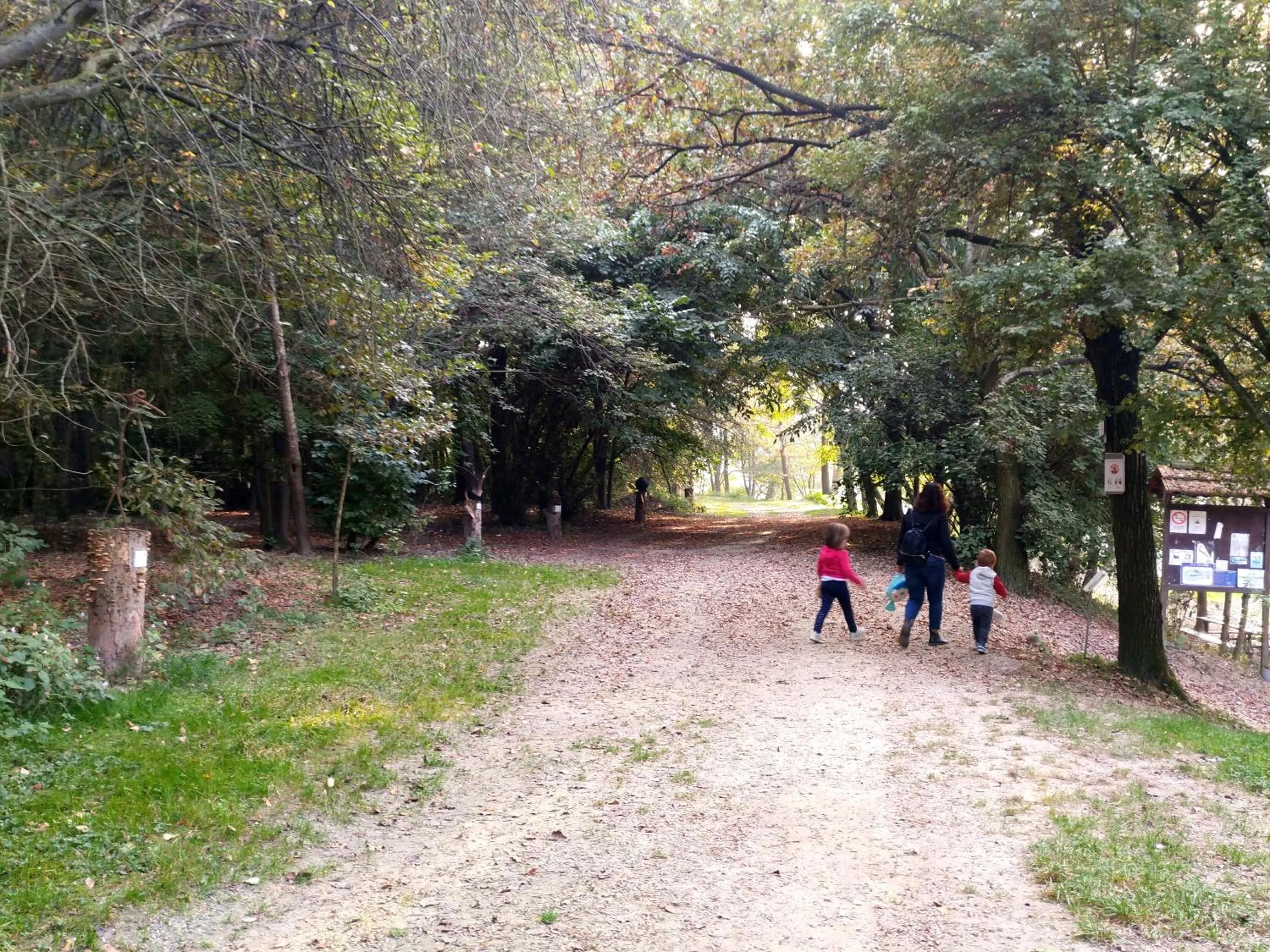 Hiking in Binario 9 3/4