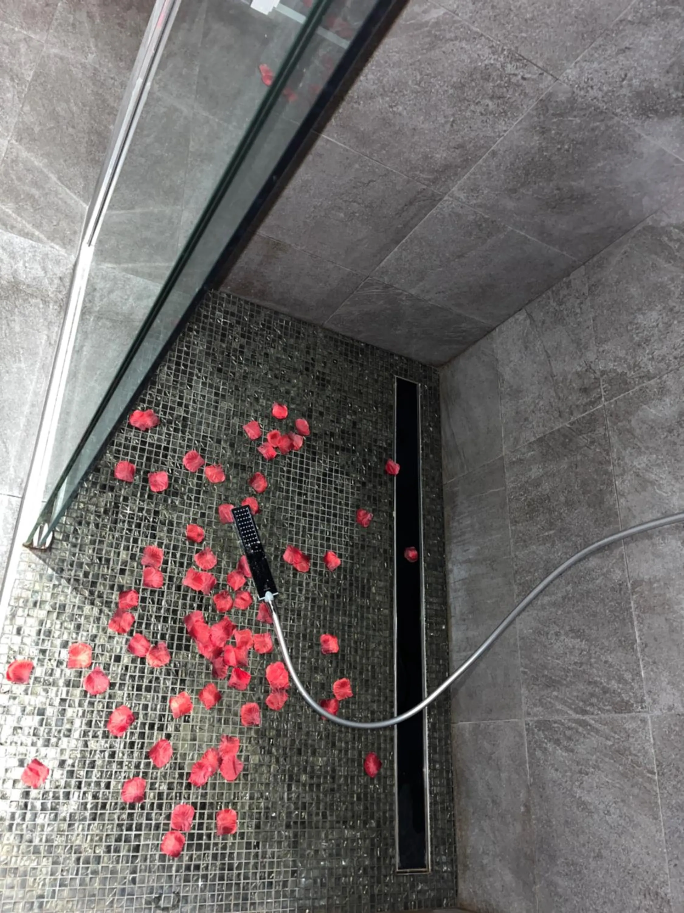 Cinecittà Luxury GUEST HOUSE