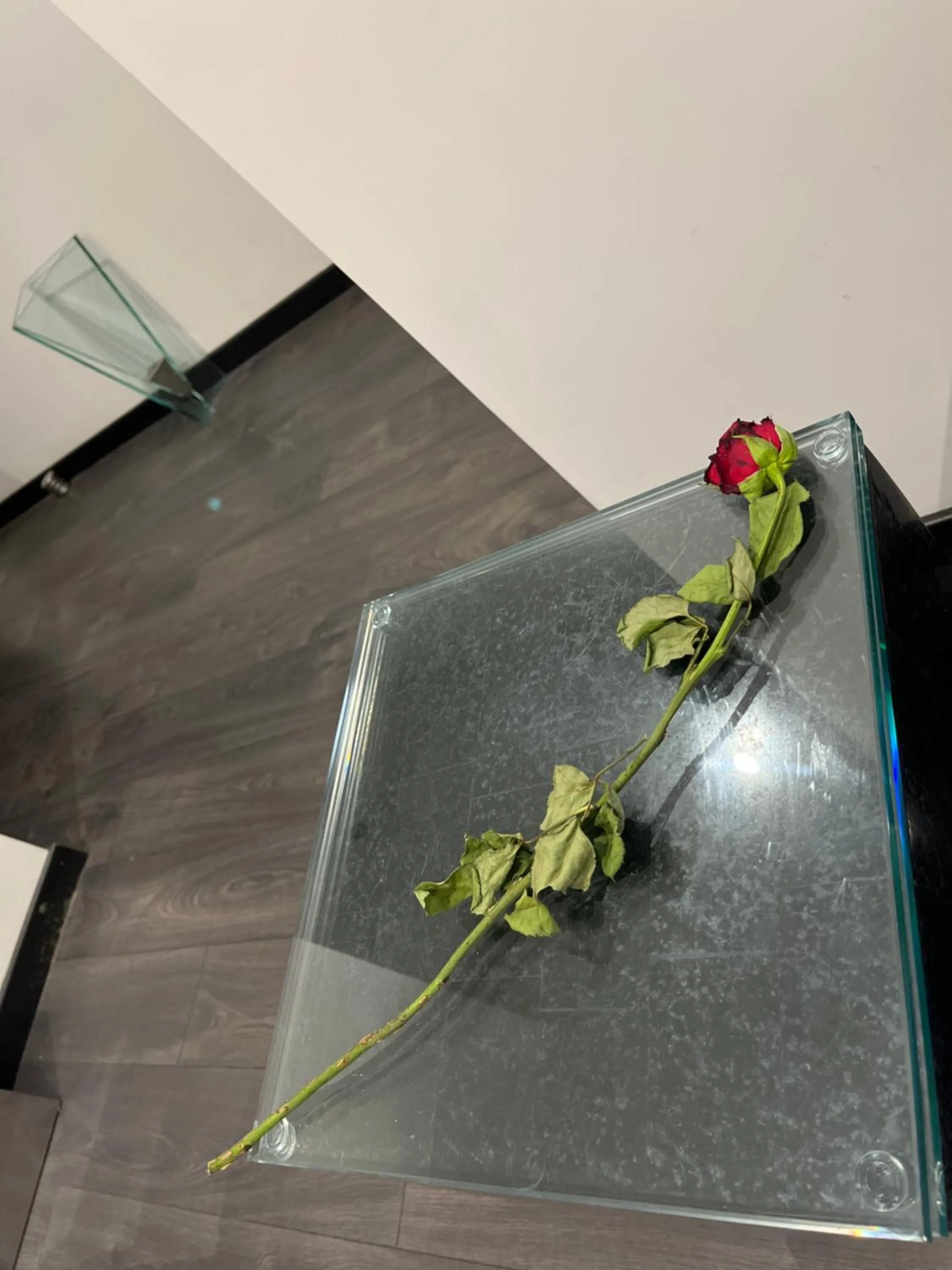 Cinecittà Luxury GUEST HOUSE