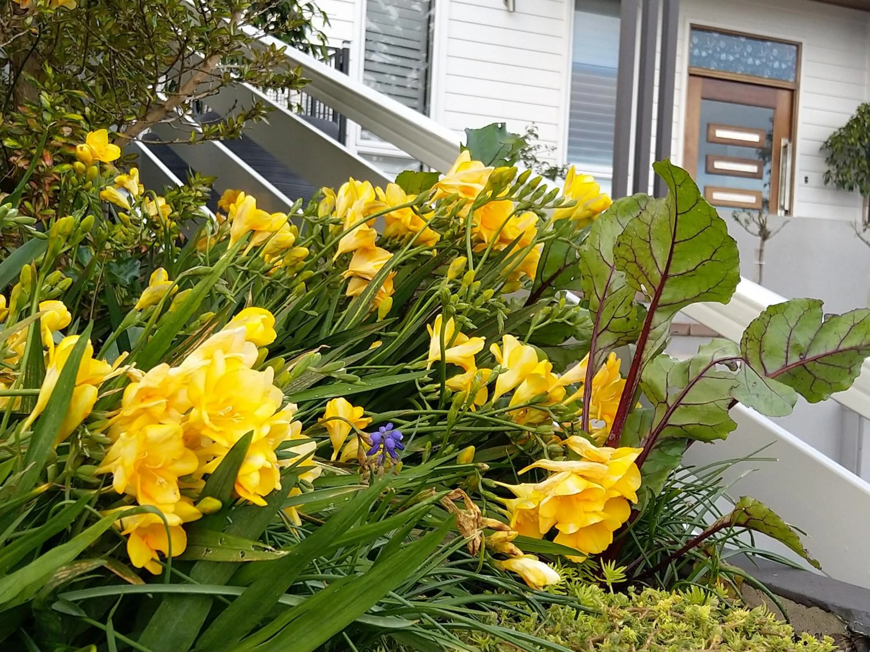Bird's eye view in C'est La Vie Bed & Breakfast