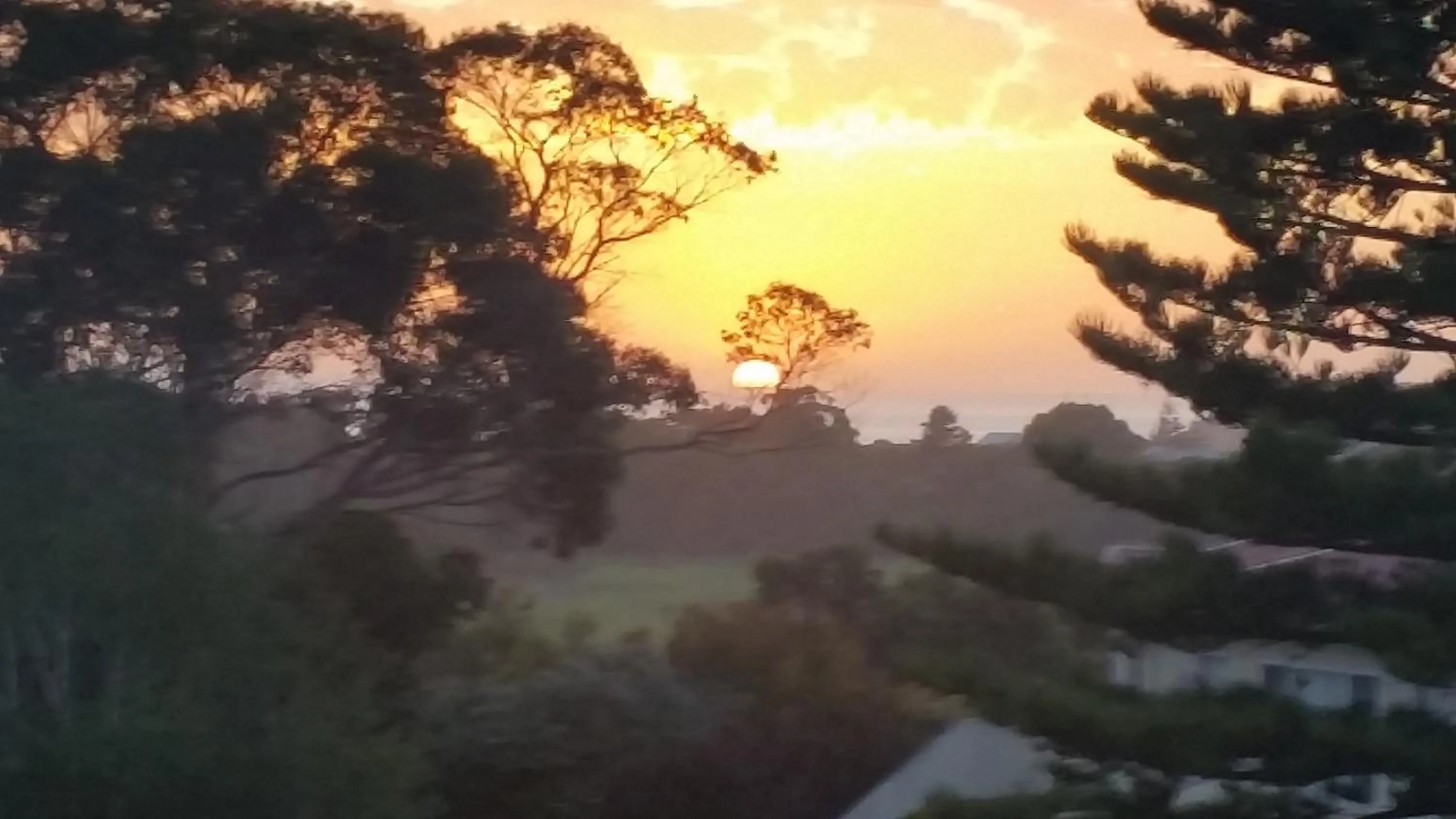 Natural landscape in C'est La Vie Bed & Breakfast