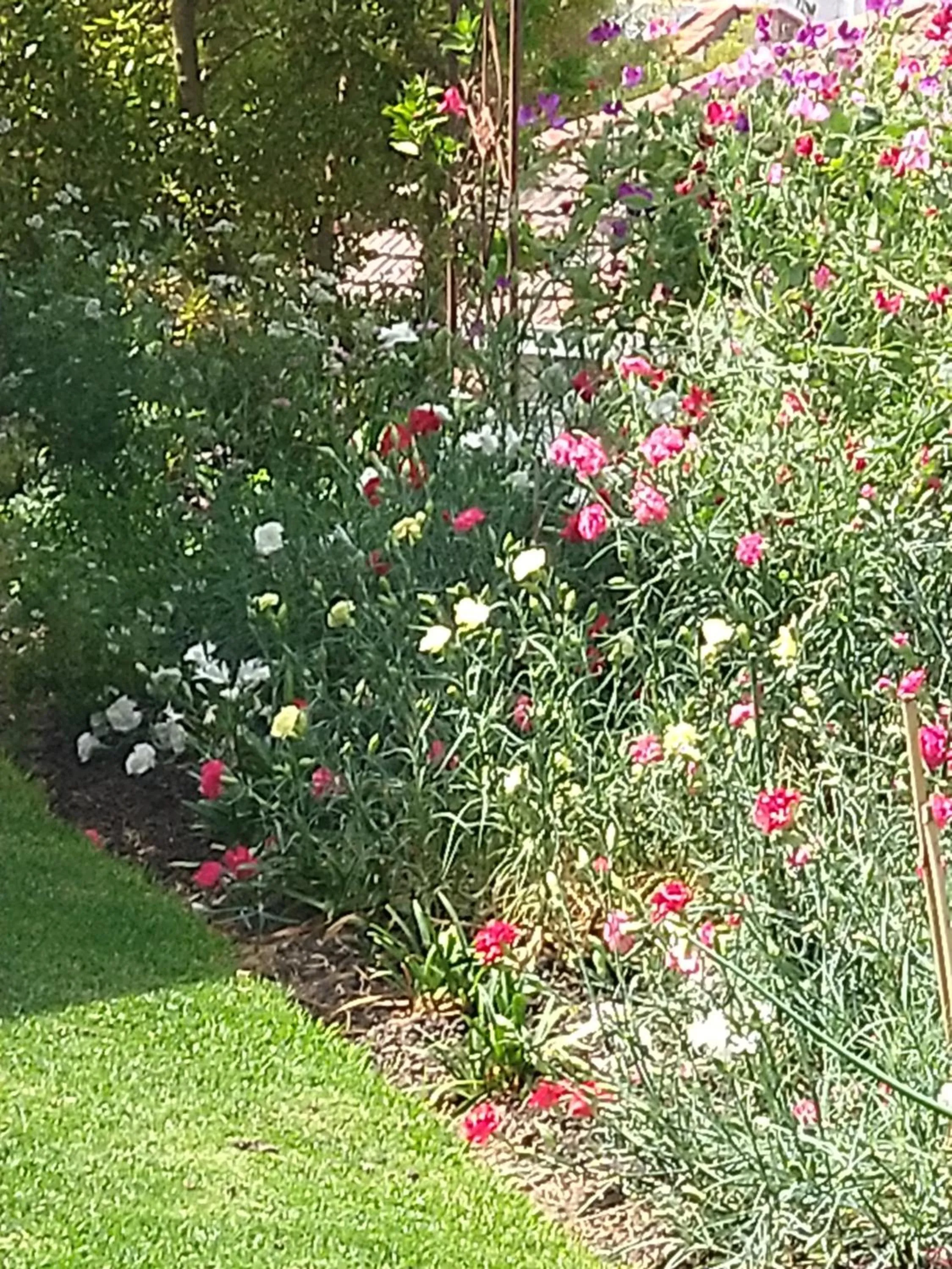 Summer in C'est La Vie Bed & Breakfast