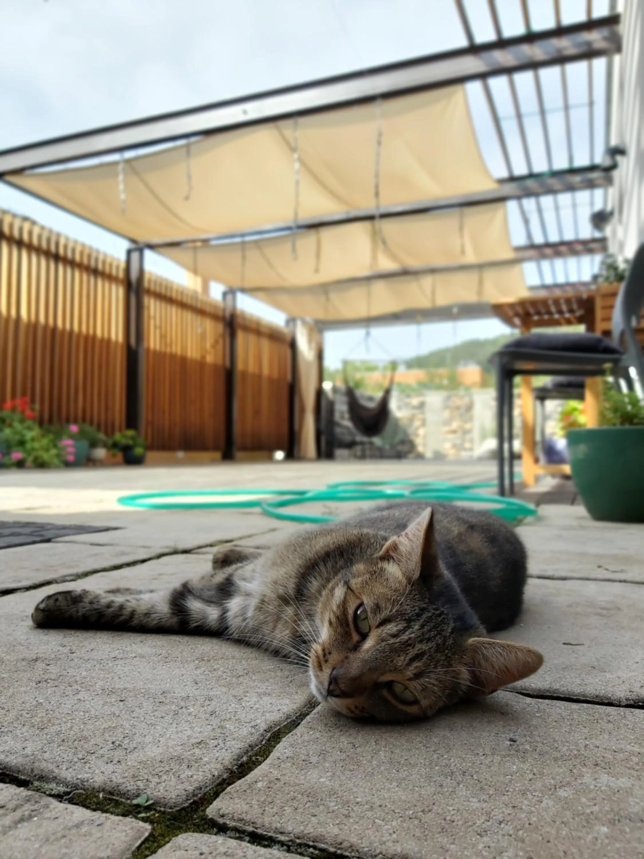 Balcony/Terrace in VIGEO lounge b&b coffee