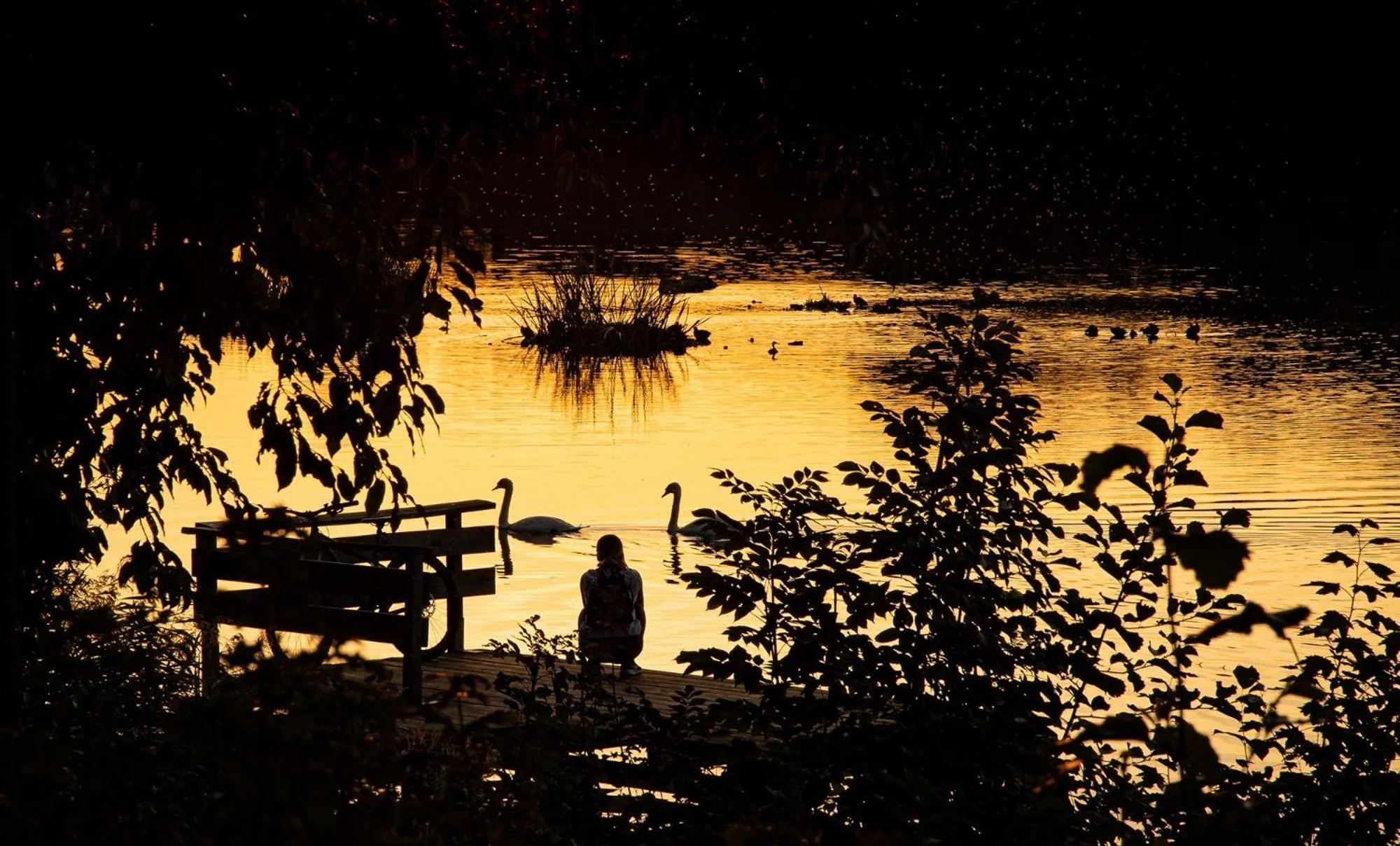 Nearby landmark in Sali Homes - GaesteHaus Lamm Obersulm