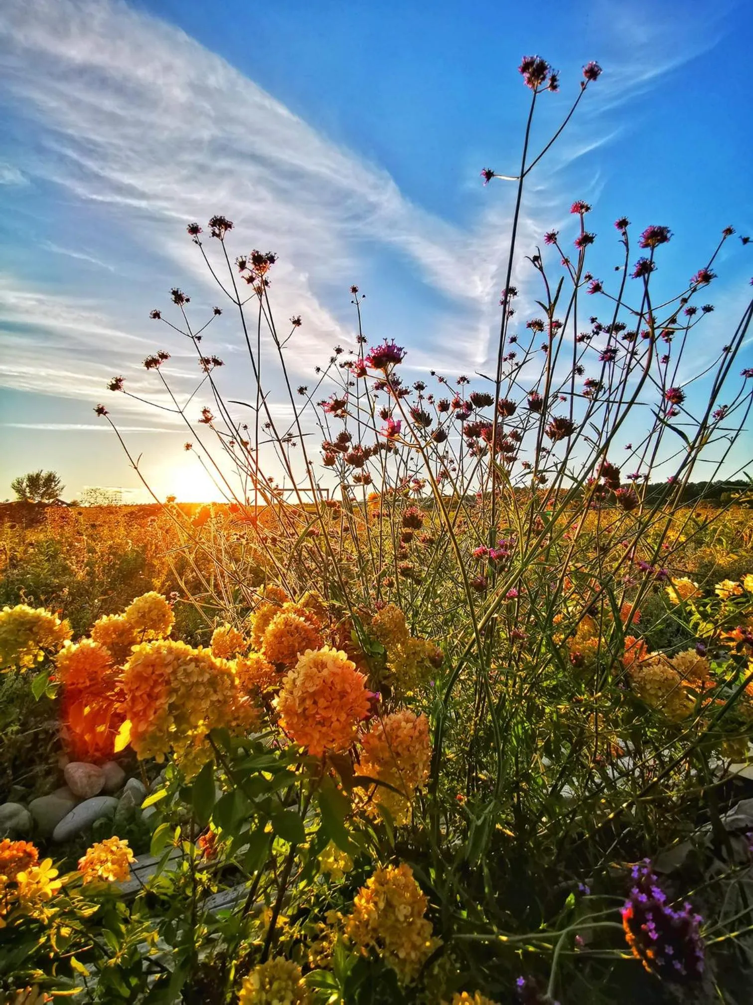 Neighbourhood in Sali Homes - GaesteHaus Lamm Obersulm