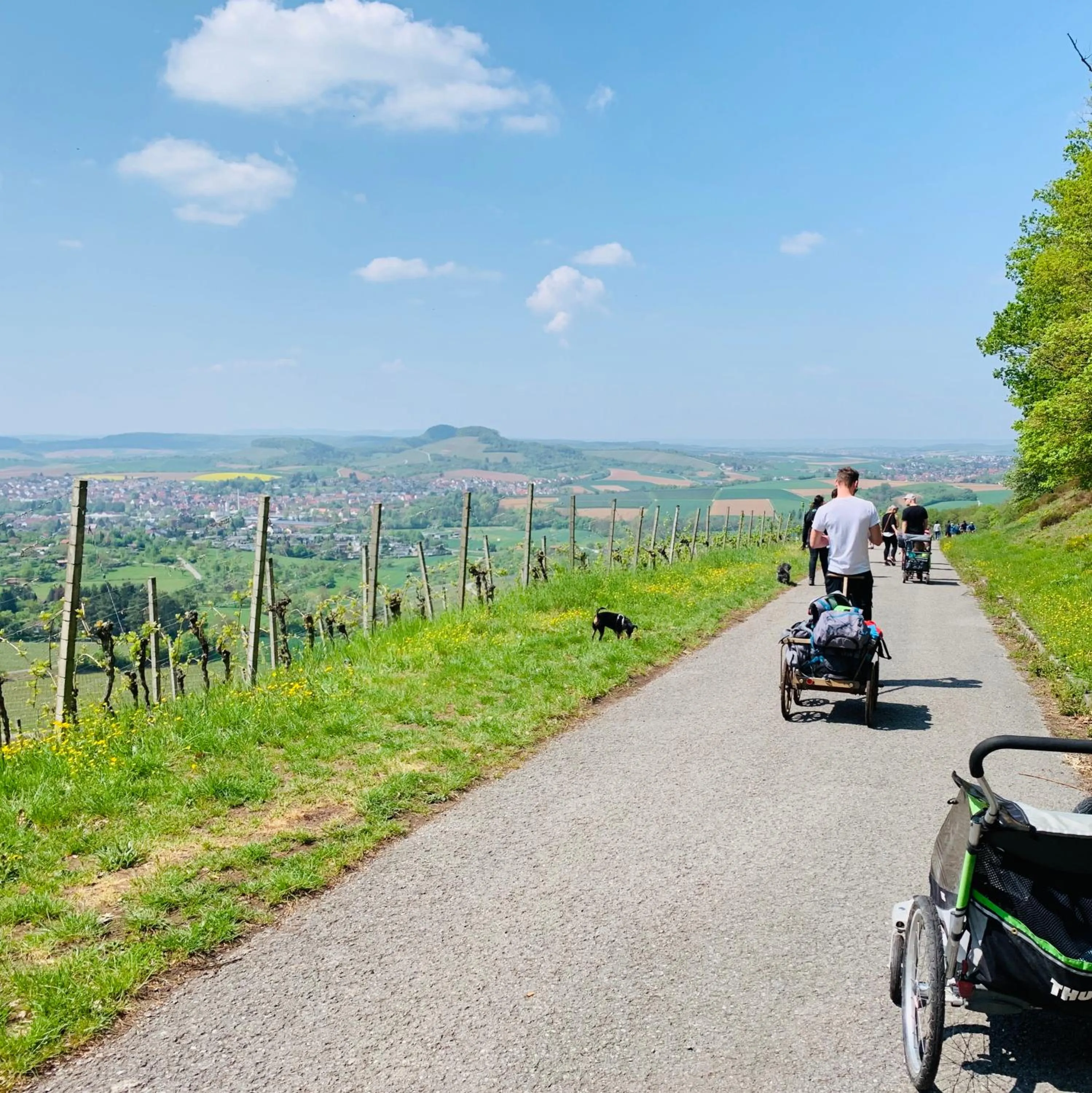 Cycling in Sali Homes - GaesteHaus Lamm Obersulm