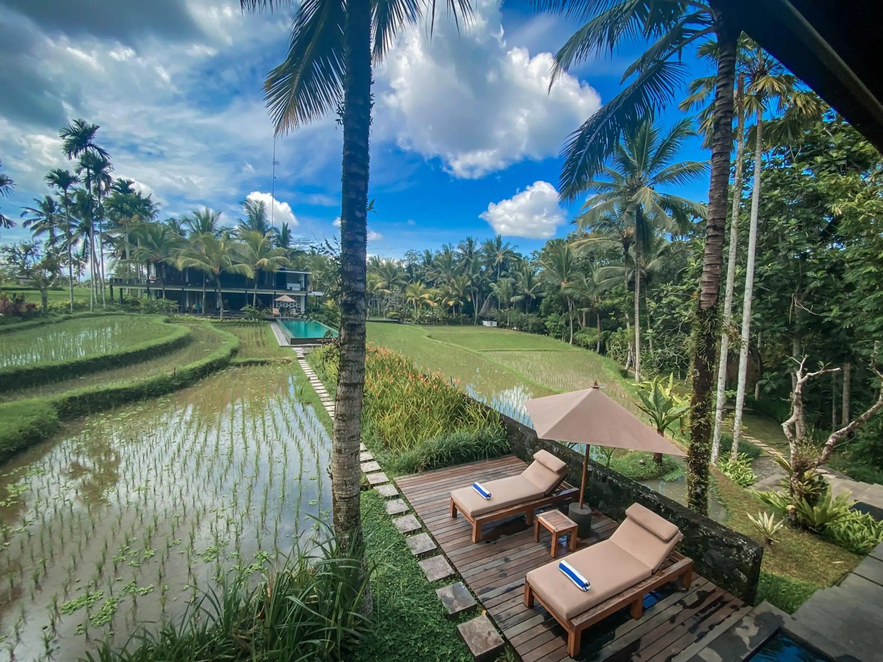 Natural landscape in Uma Giri Villas Ubud by GenuineHost
