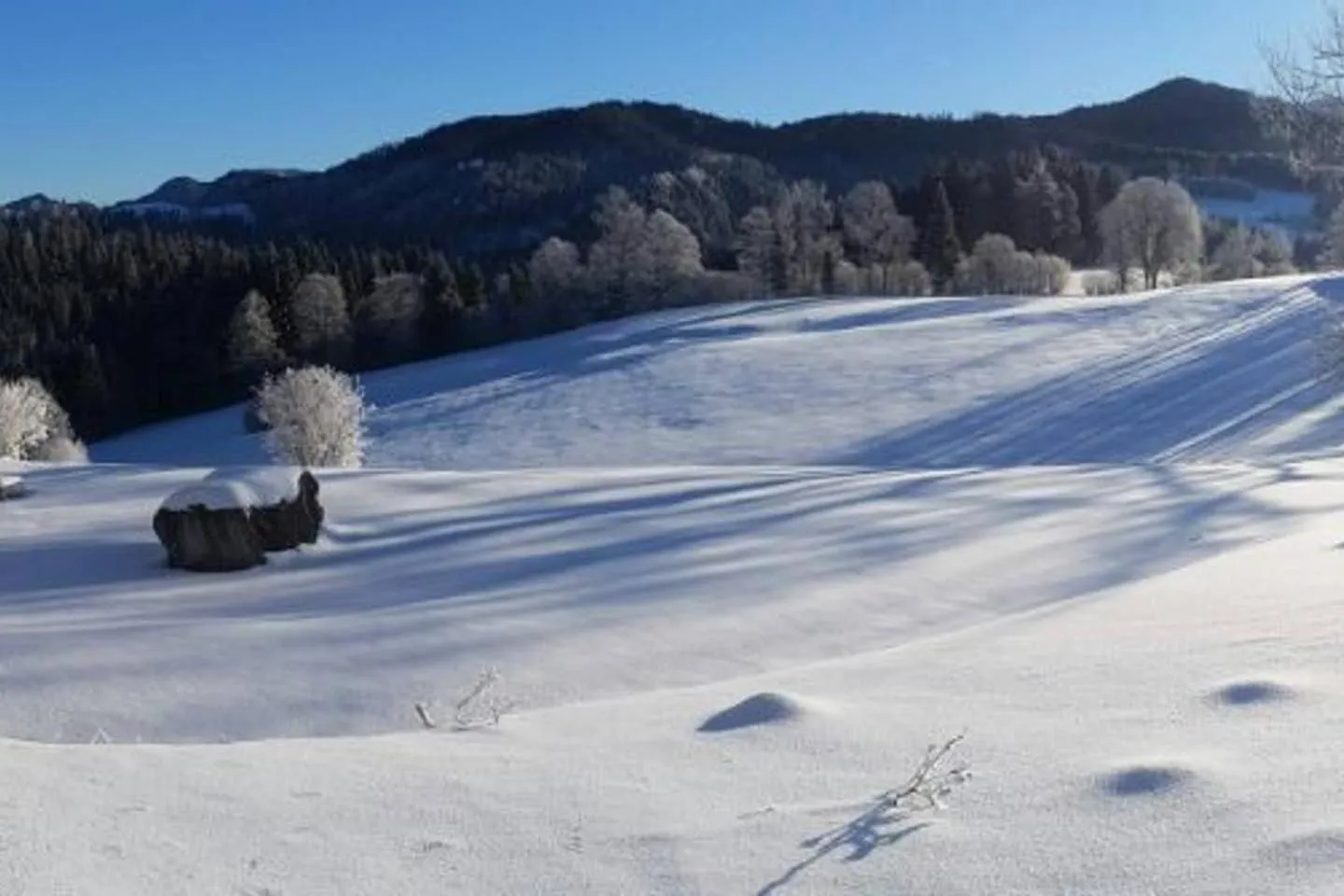 Natural landscape in Chalet Hinterbreiteneben