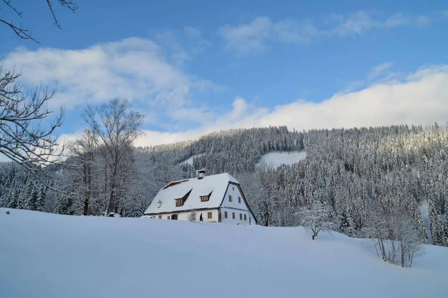 Property building in Chalet Hinterbreiteneben