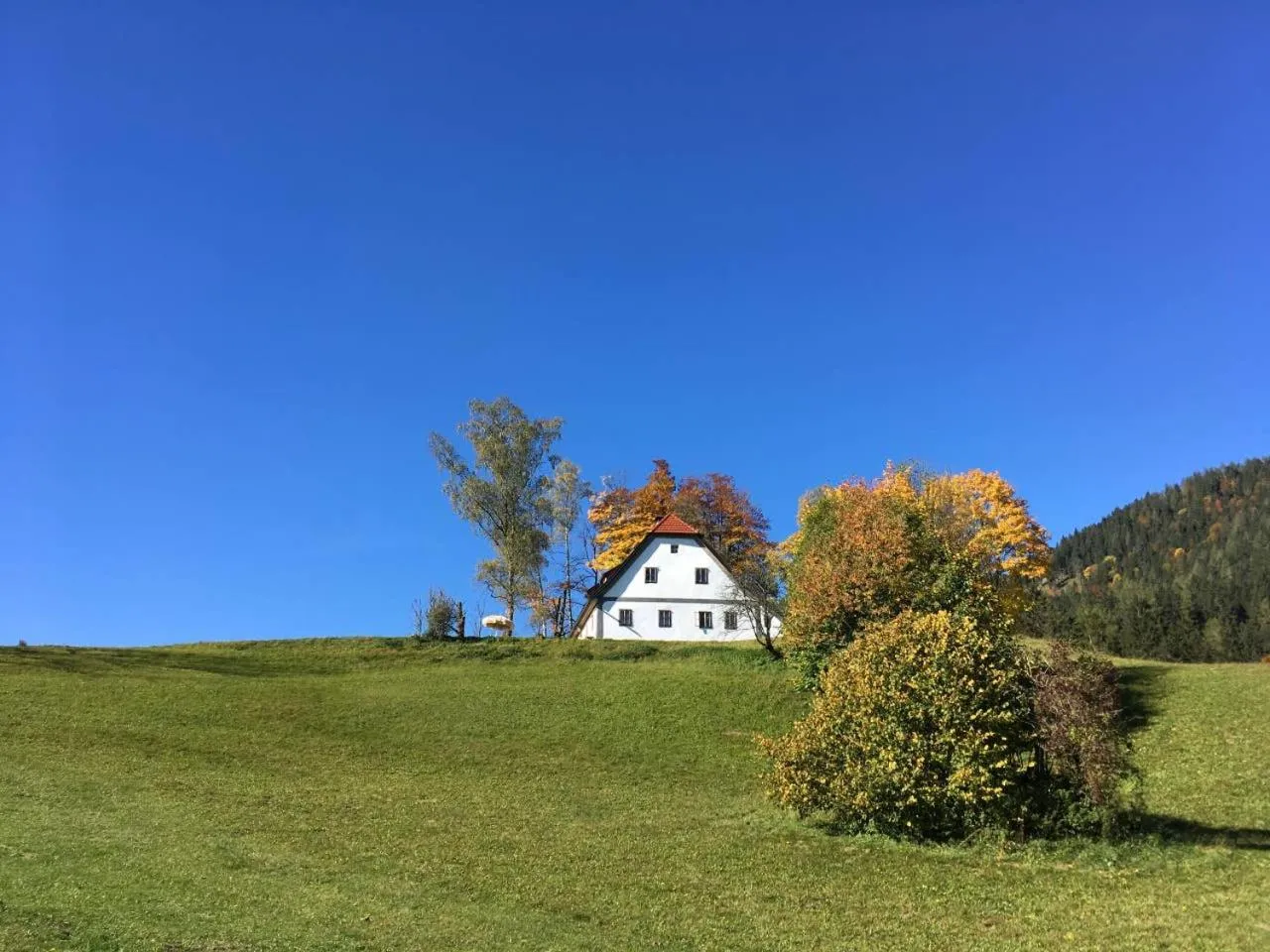 Property building in Chalet Hinterbreiteneben