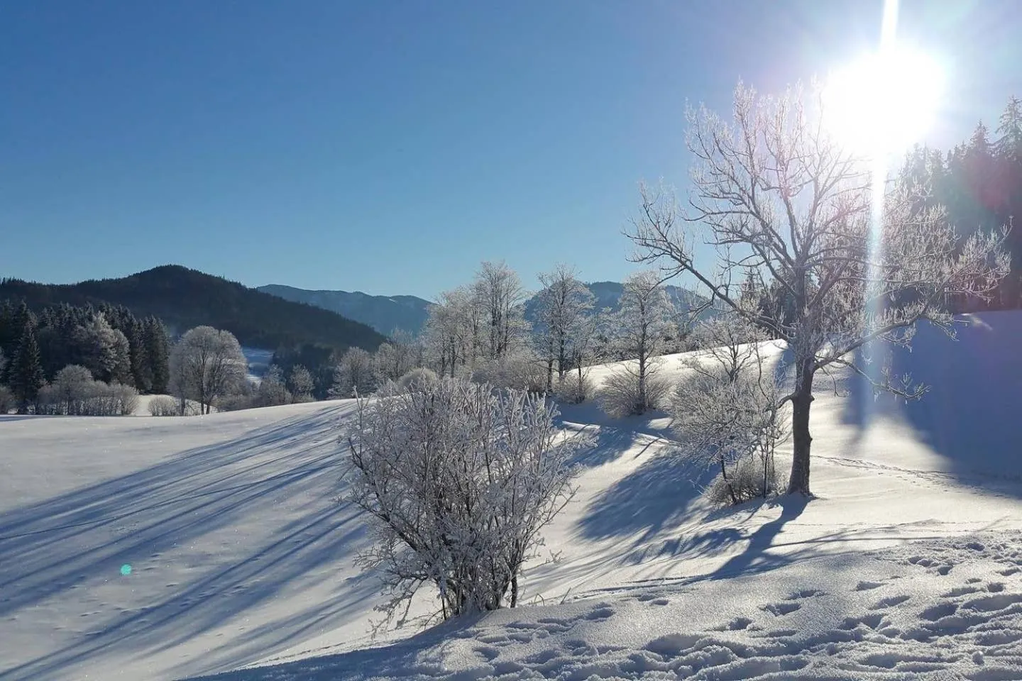 Winter in Chalet Hinterbreiteneben