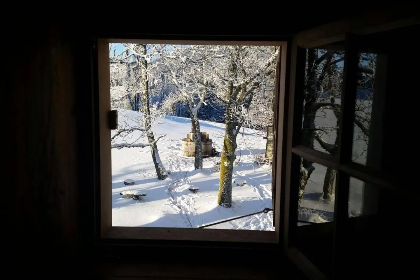 Winter in Chalet Hinterbreiteneben