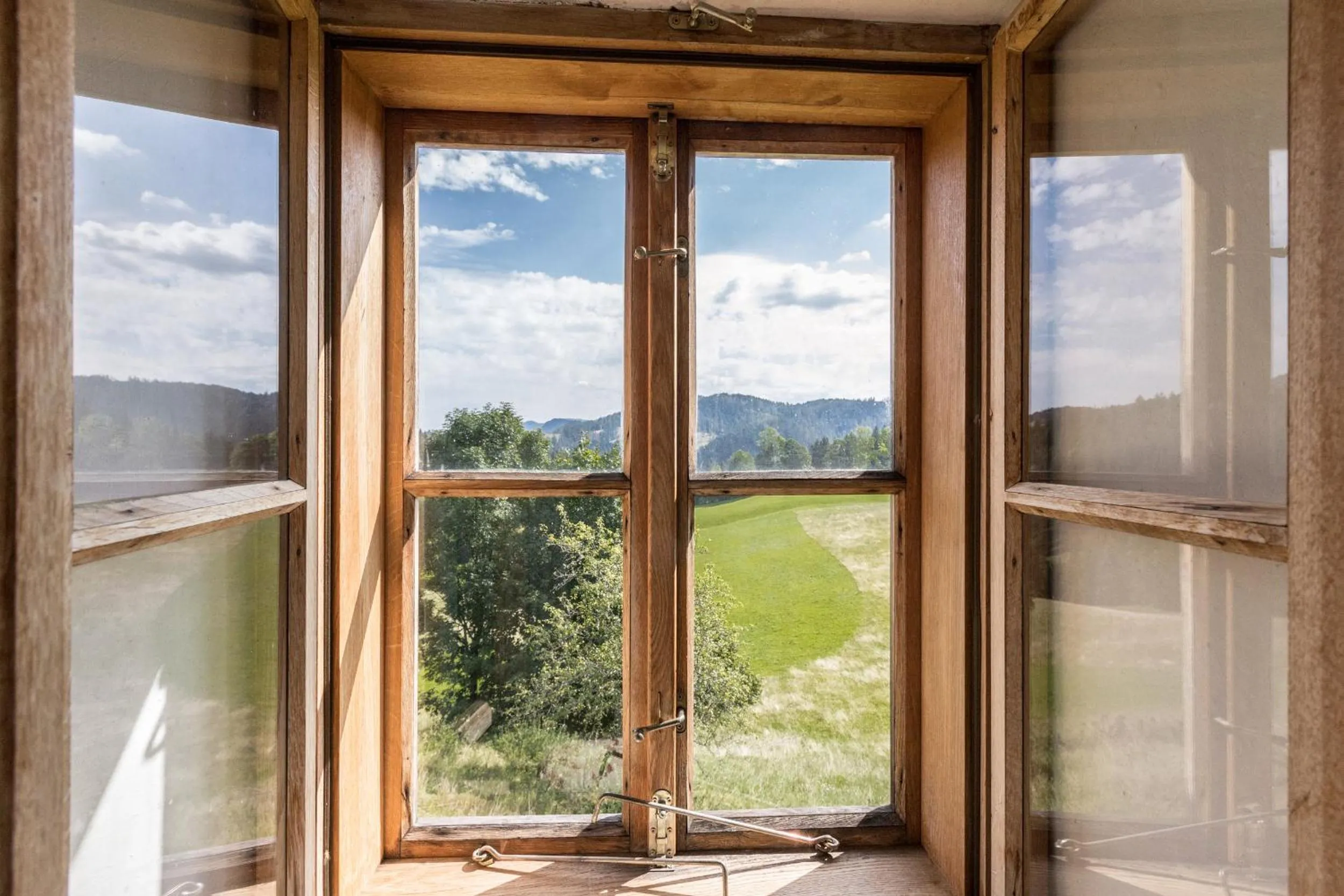 Garden view in Chalet Hinterbreiteneben