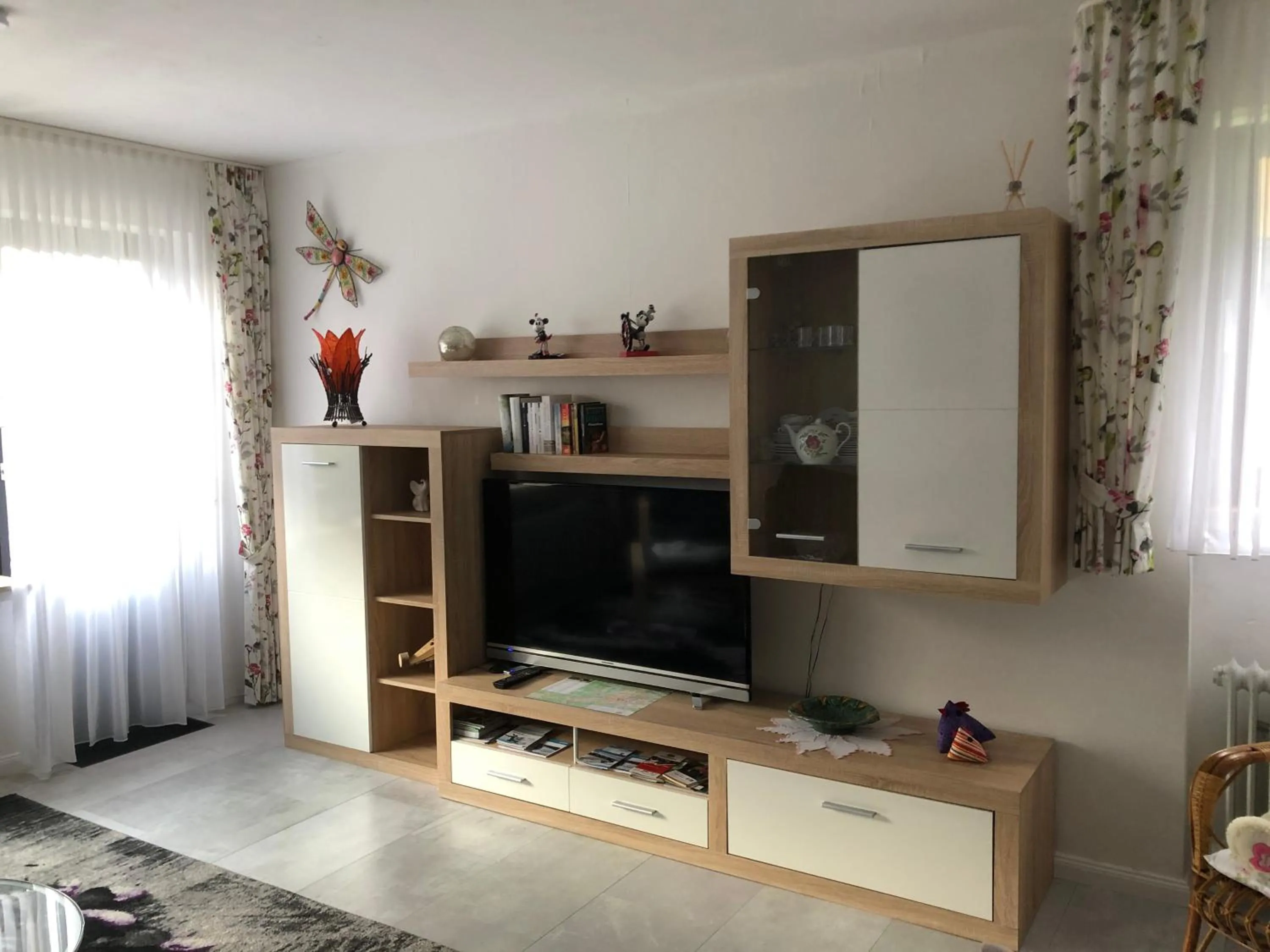 TV and multimedia in Alicia