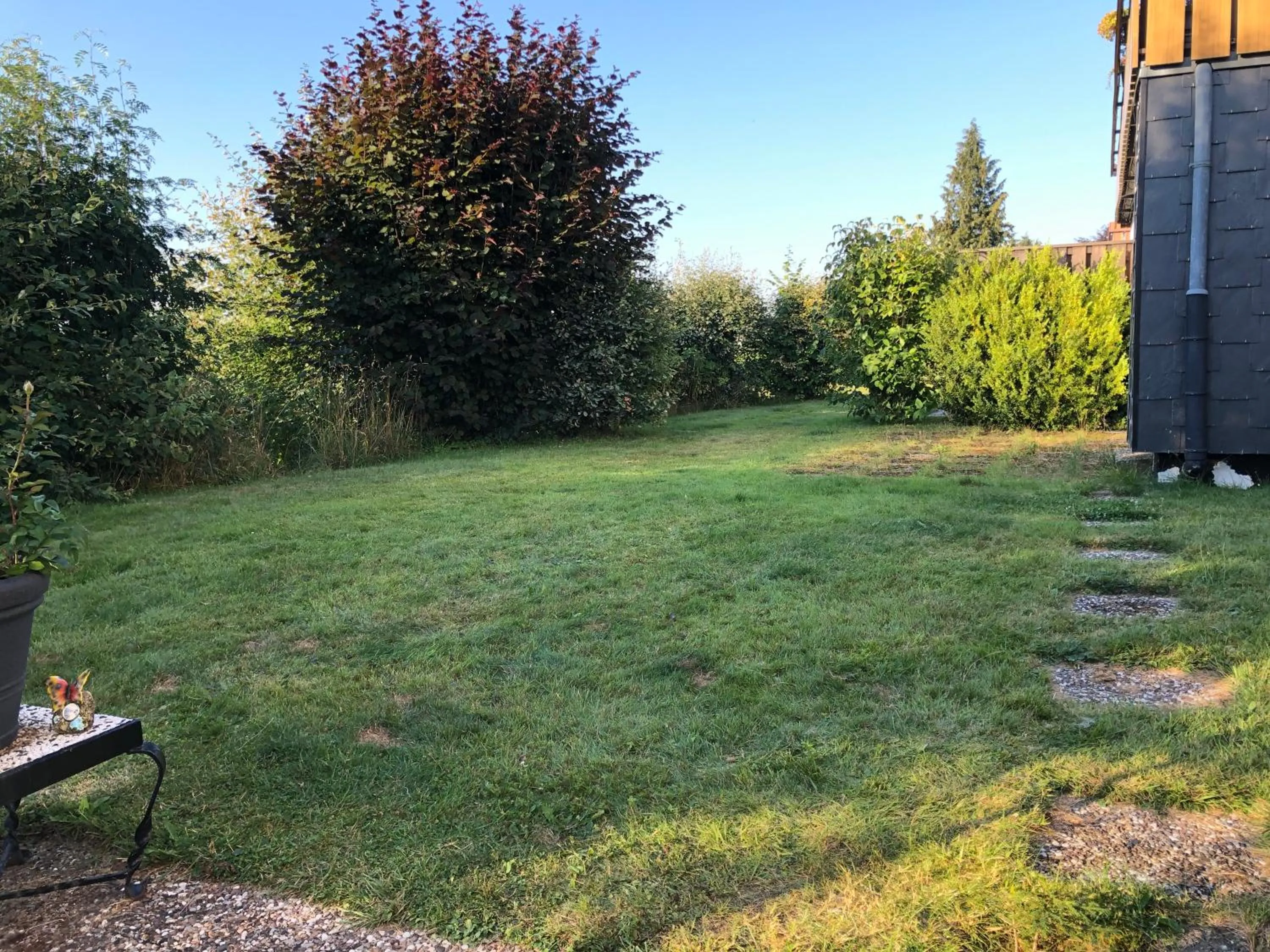 Garden in Alicia
