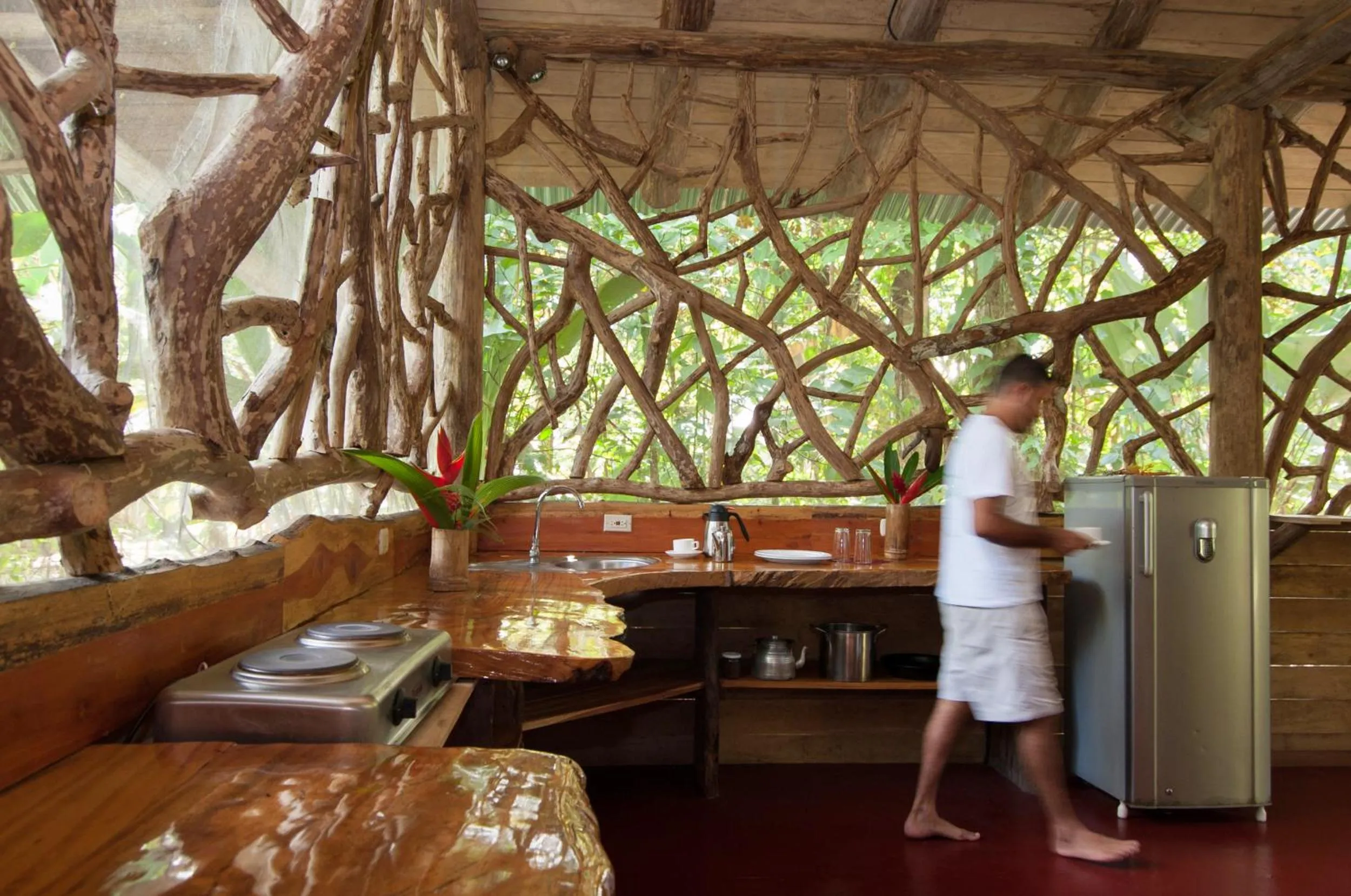 Kitchen or kitchenette in Danta Corcovado Lodge
