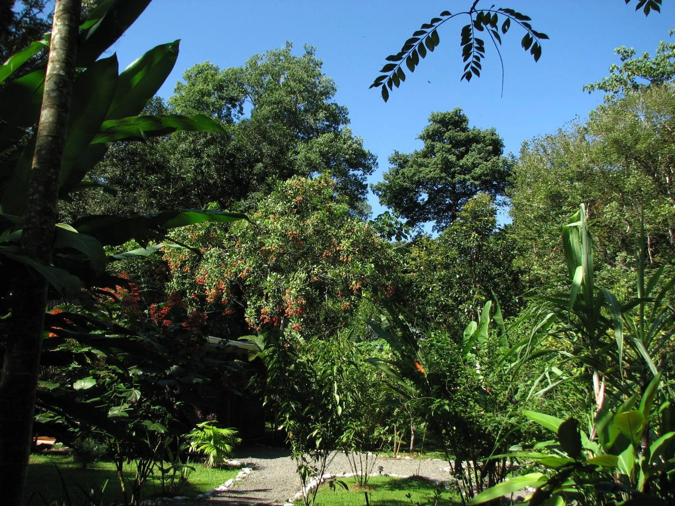 Area and facilities in Danta Corcovado Lodge