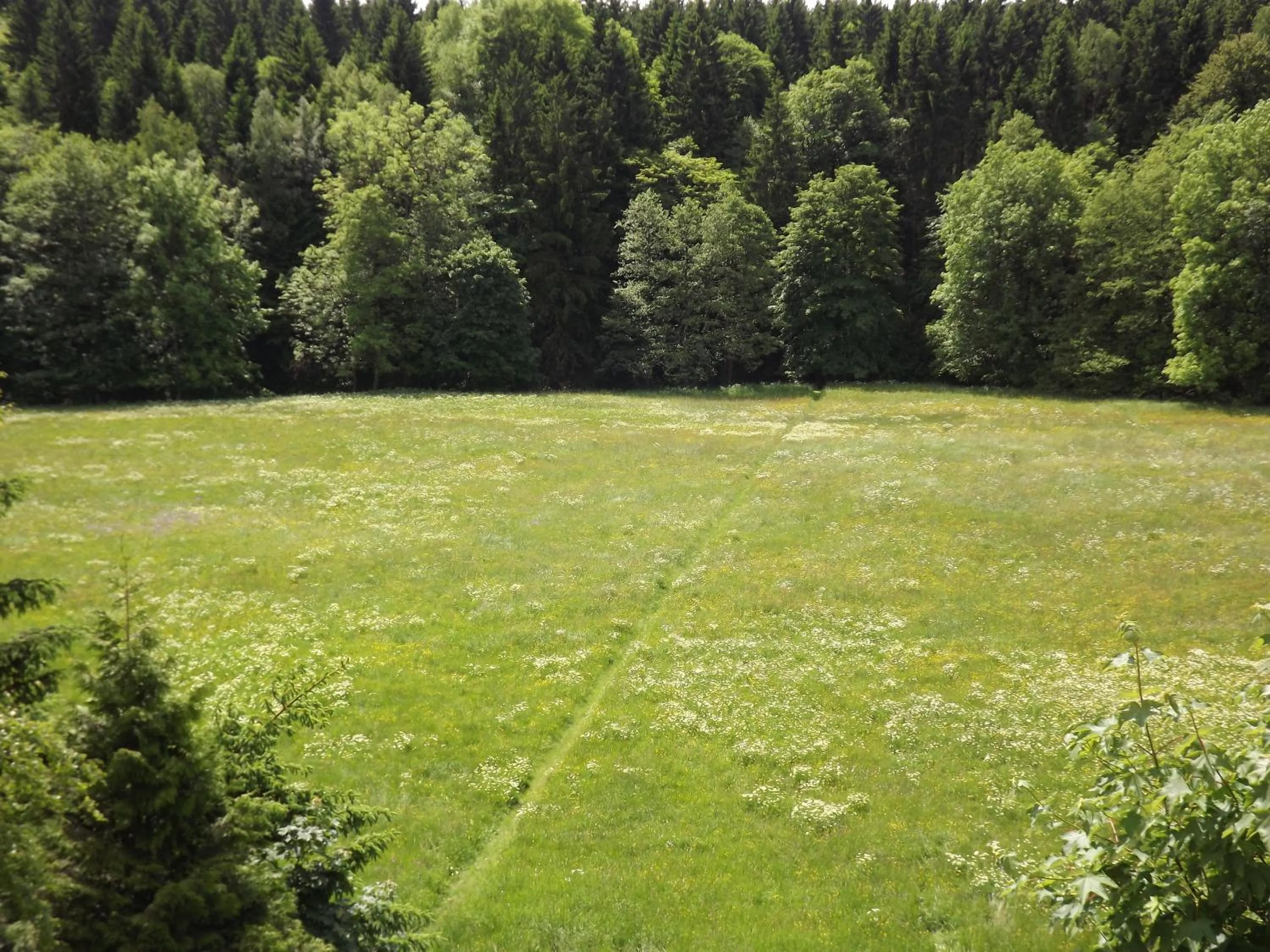 Pension Bodetal
