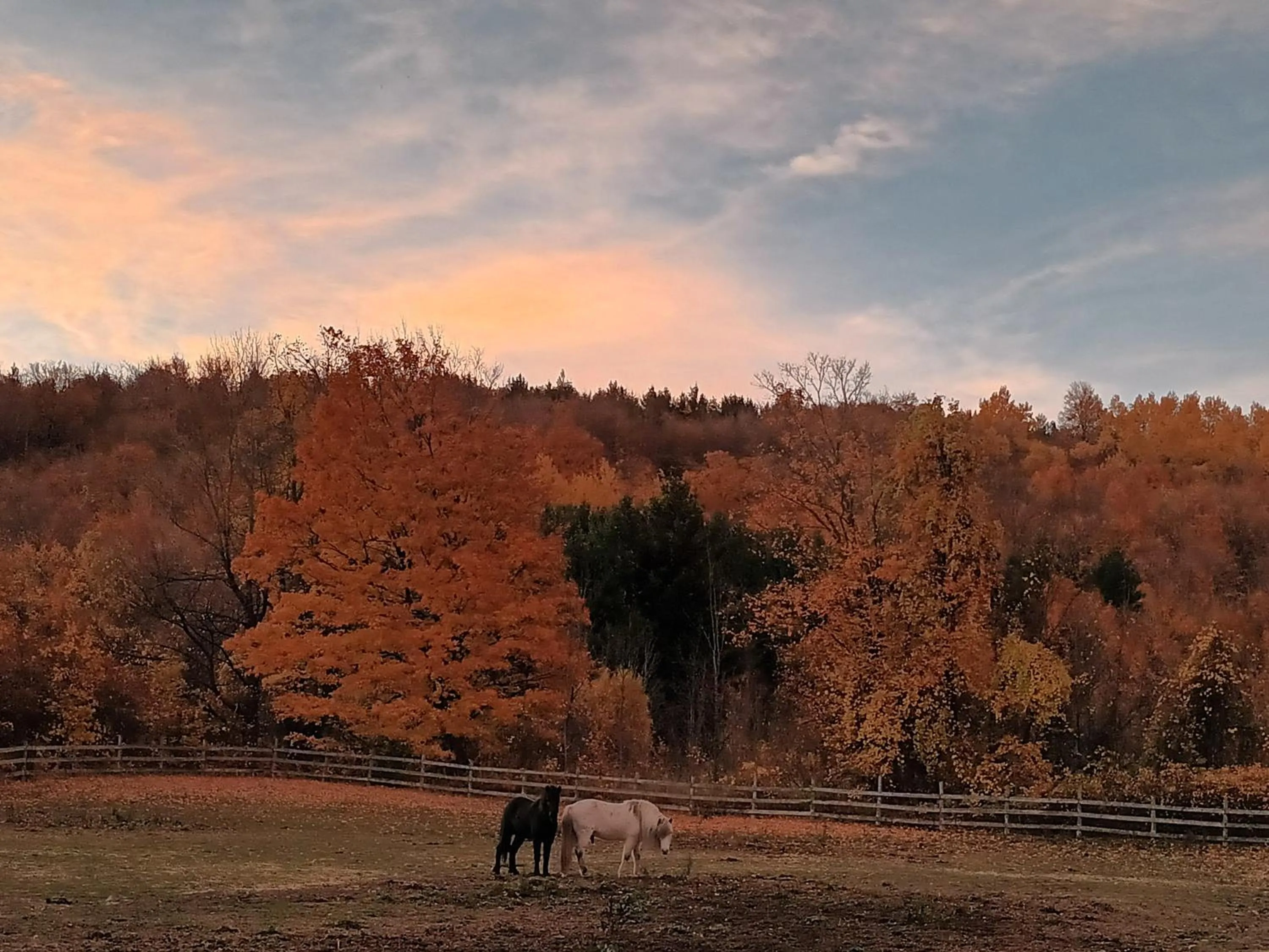 Autumn in Pretty River Valley Country Inn