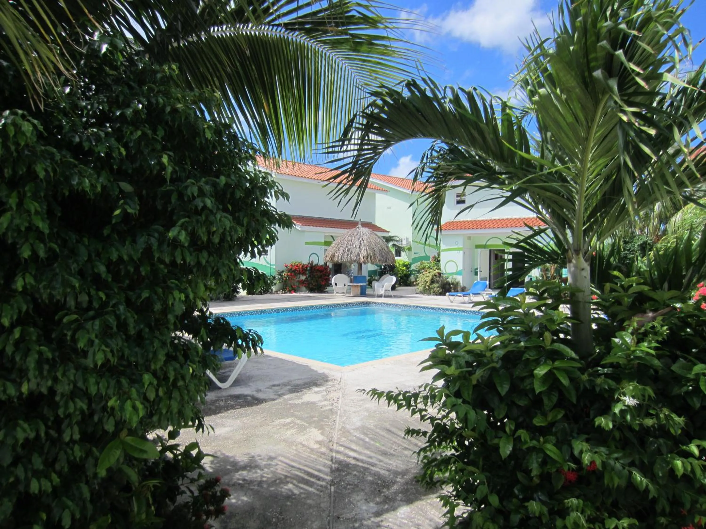 Swimming pool in Heliemar