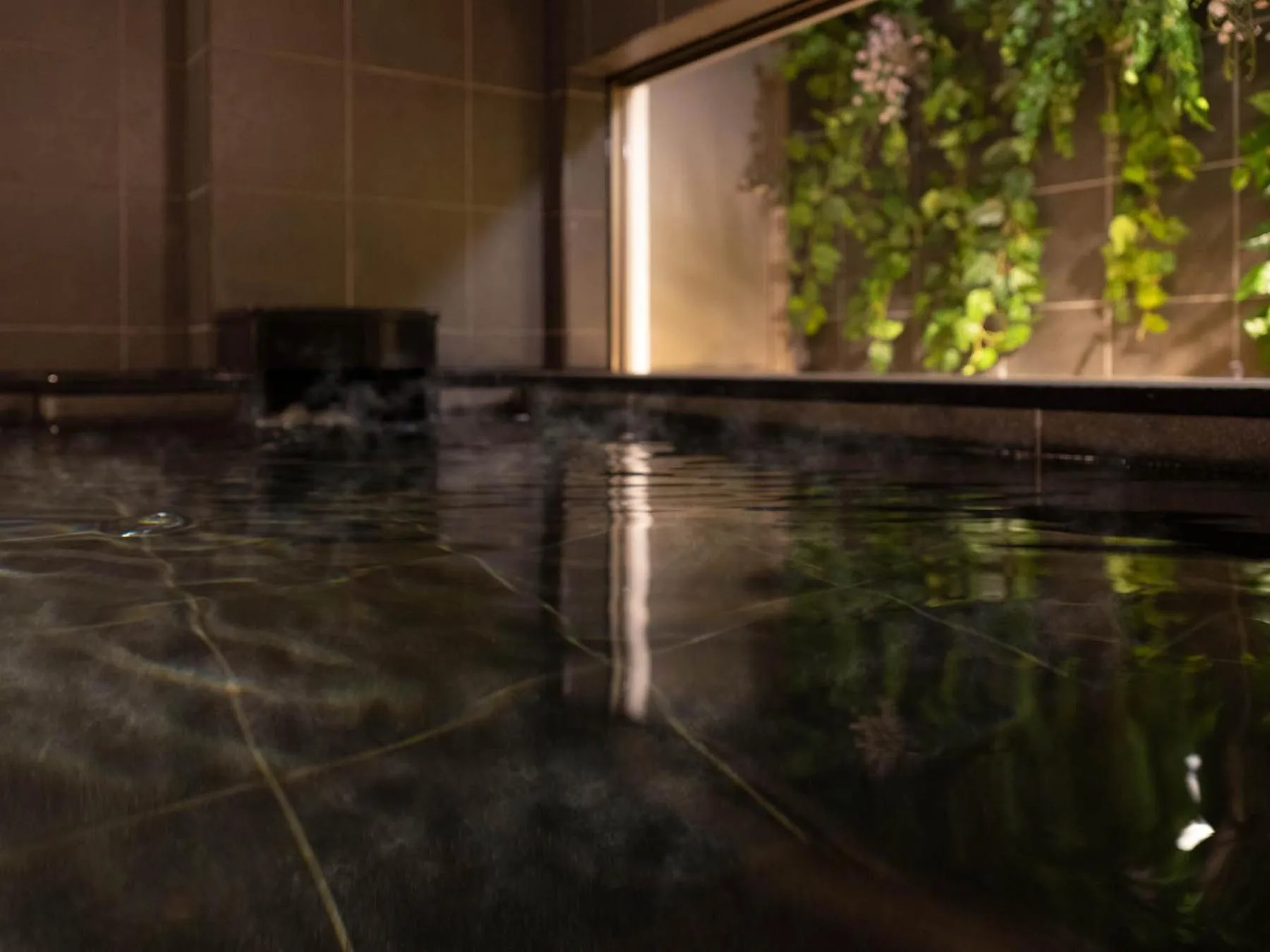 Hot Spring Bath in Super Hotel Premier Shimonoseki