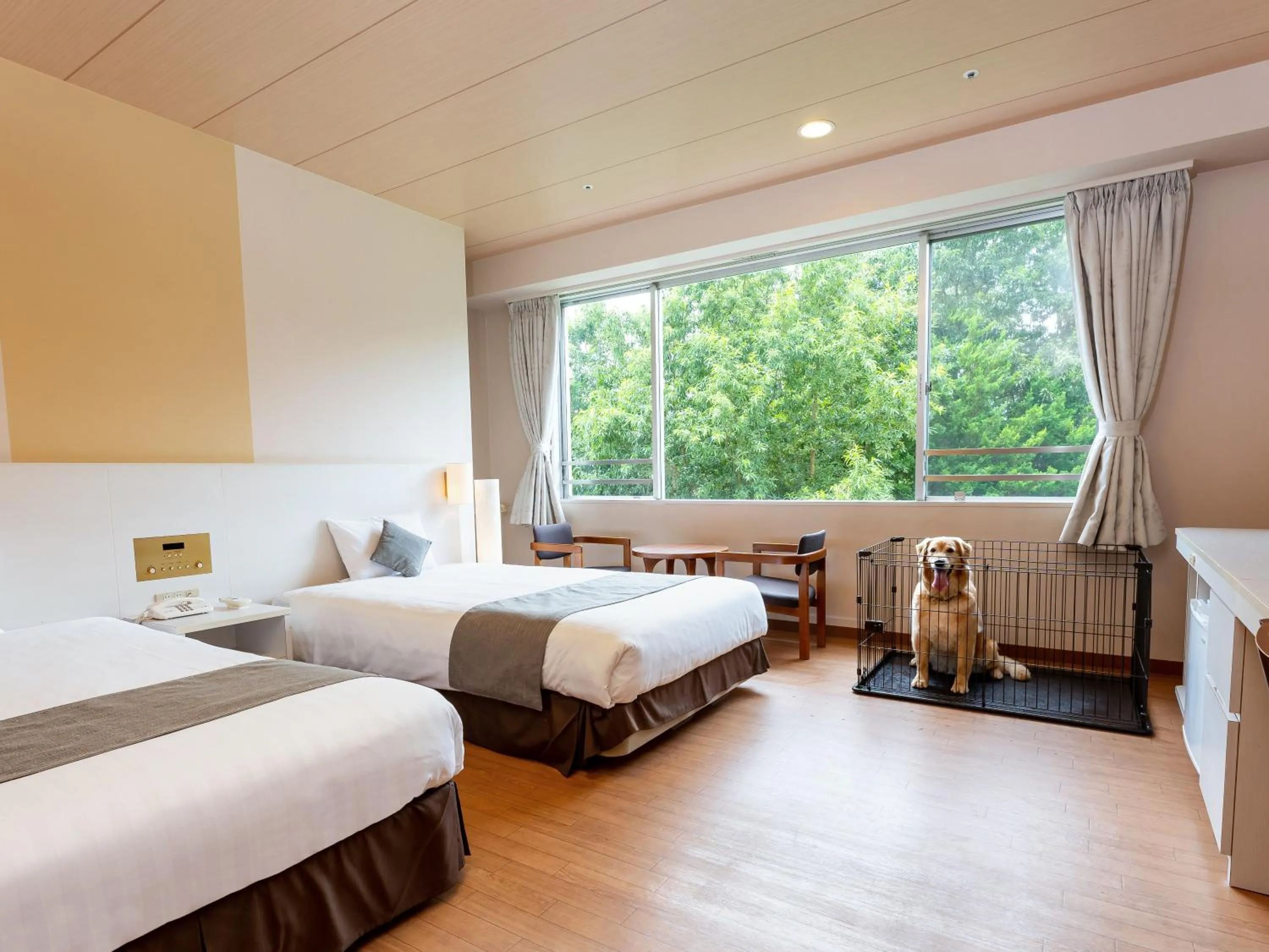 Photo of the whole room, Bed in KAMENOI HOTEL Kitsuregawa