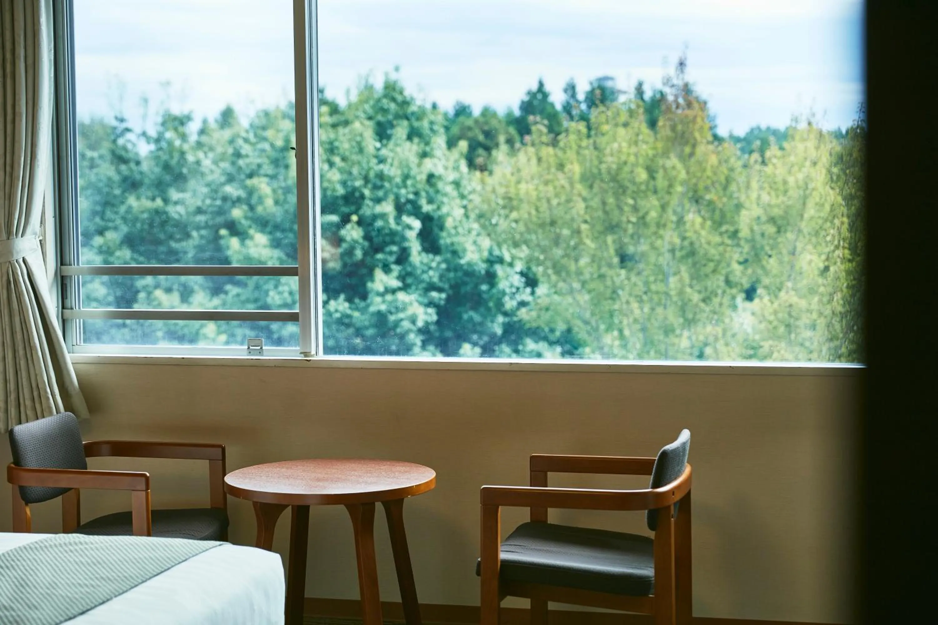 View (from property/room) in KAMENOI HOTEL Kitsuregawa