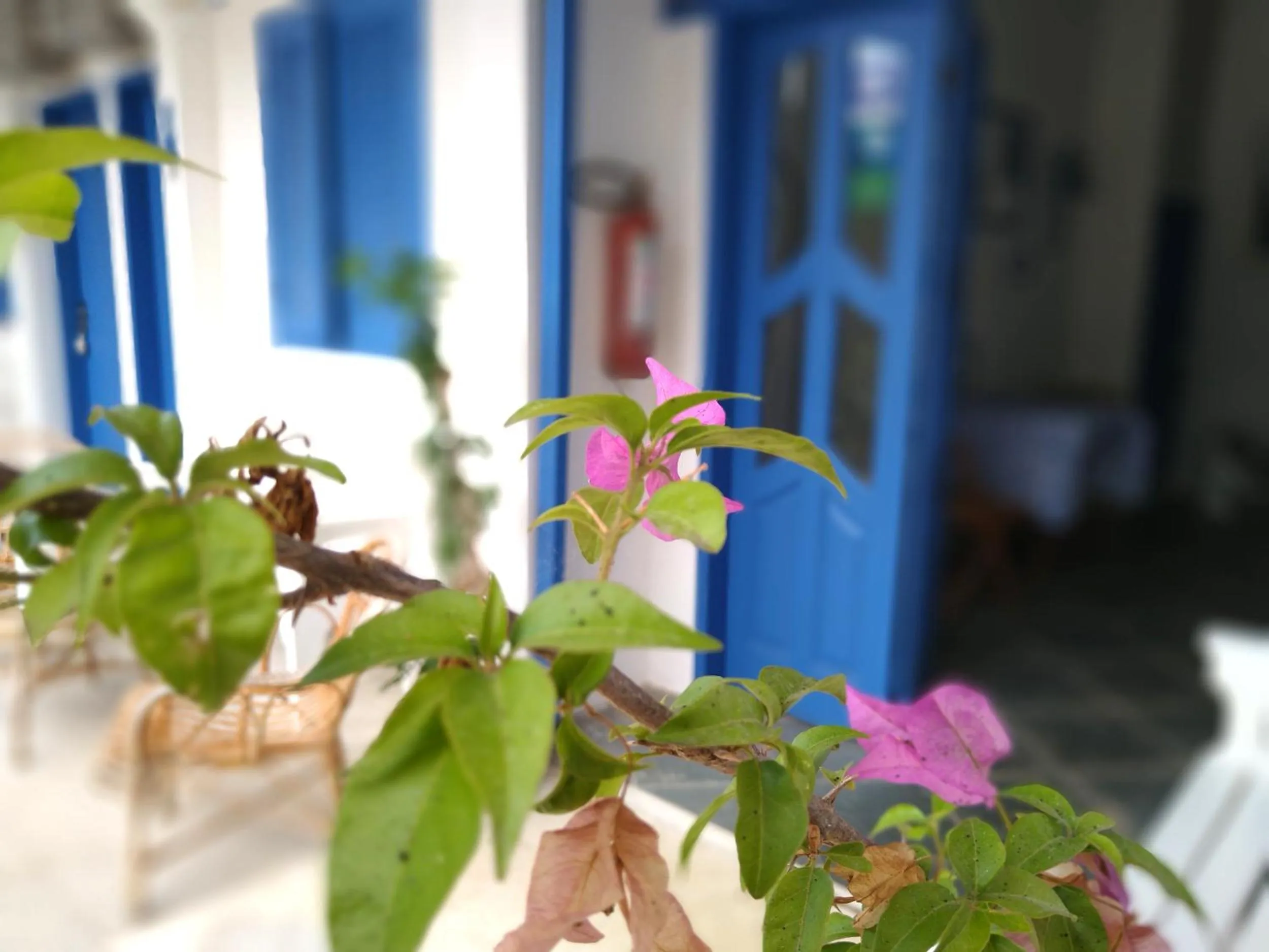 Patio in Pousada Costa Verde