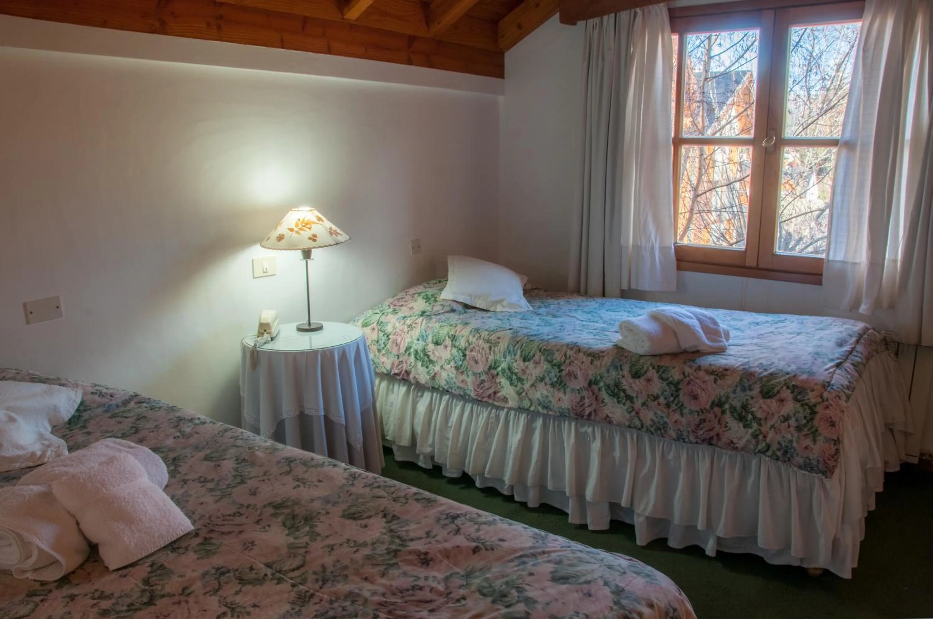 Photo of the whole room, Bed in Hostería El Arbol Duende