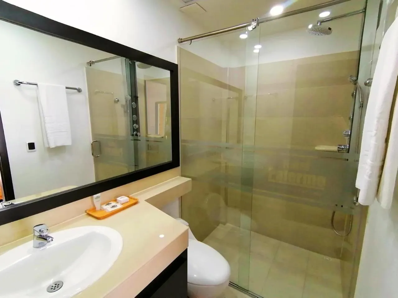 Bathroom in Hotel Palermo Suite