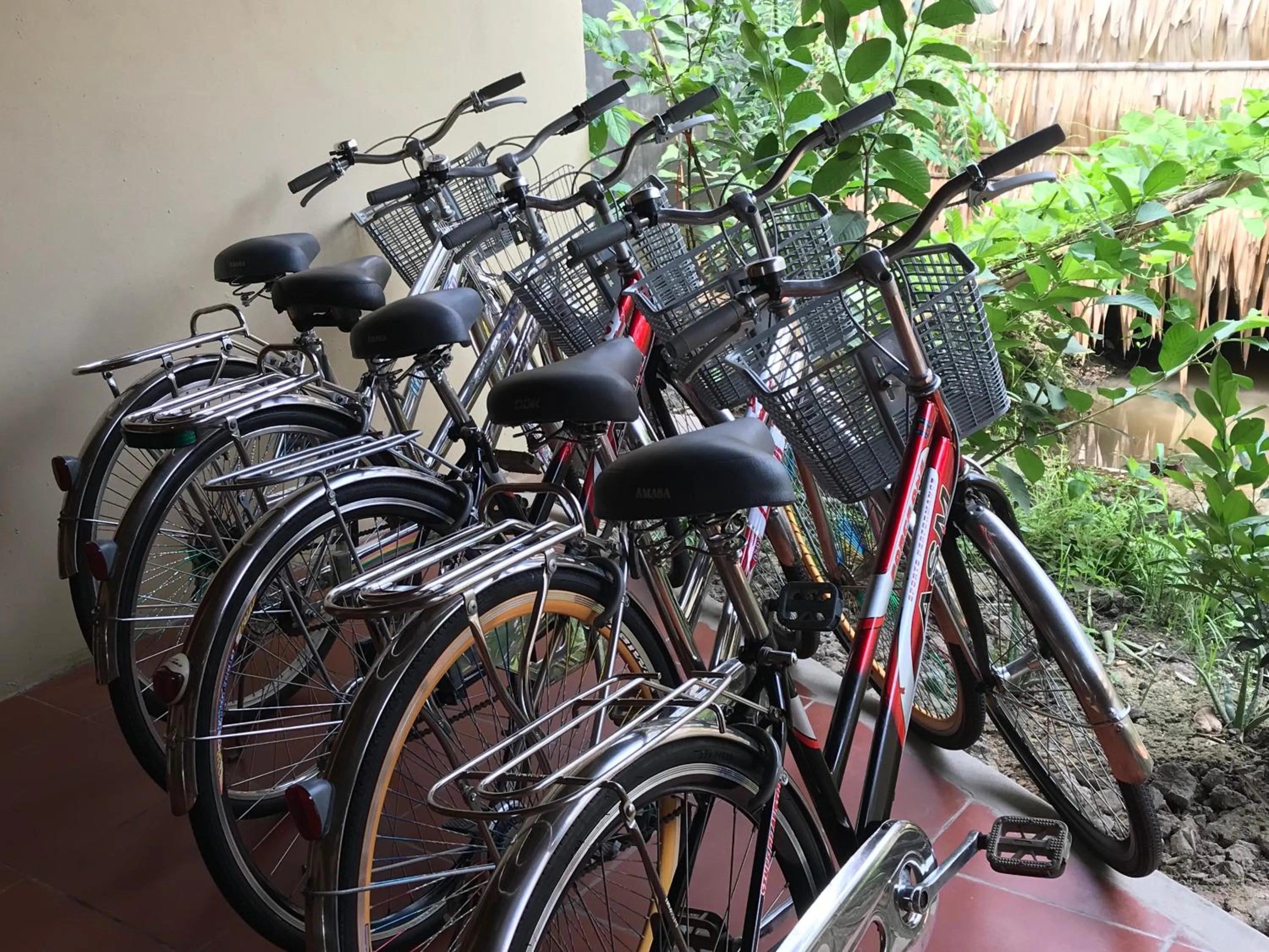 Activities in Cato Homestay