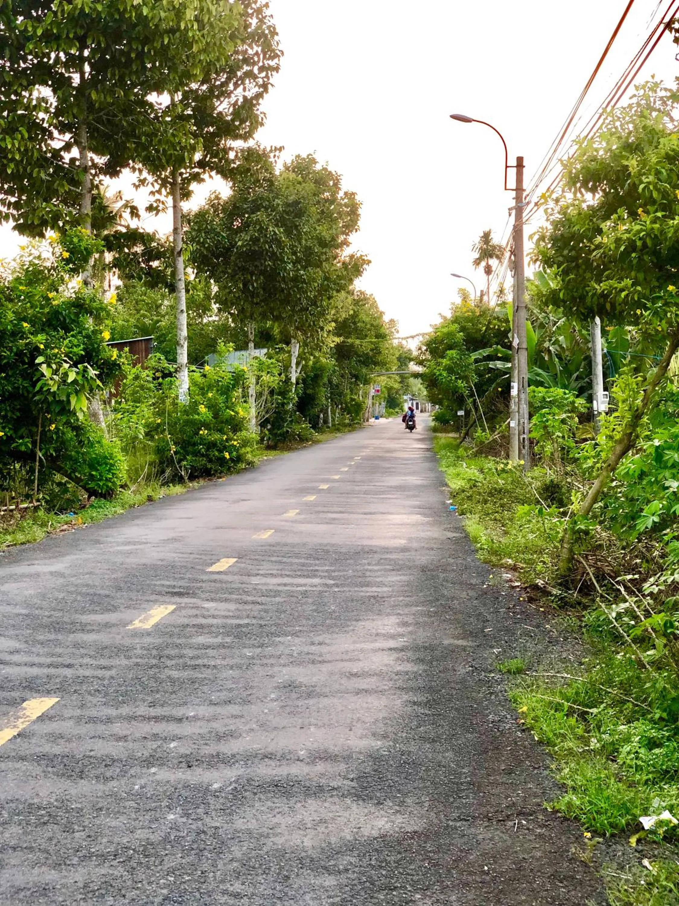 Day in Cato Homestay