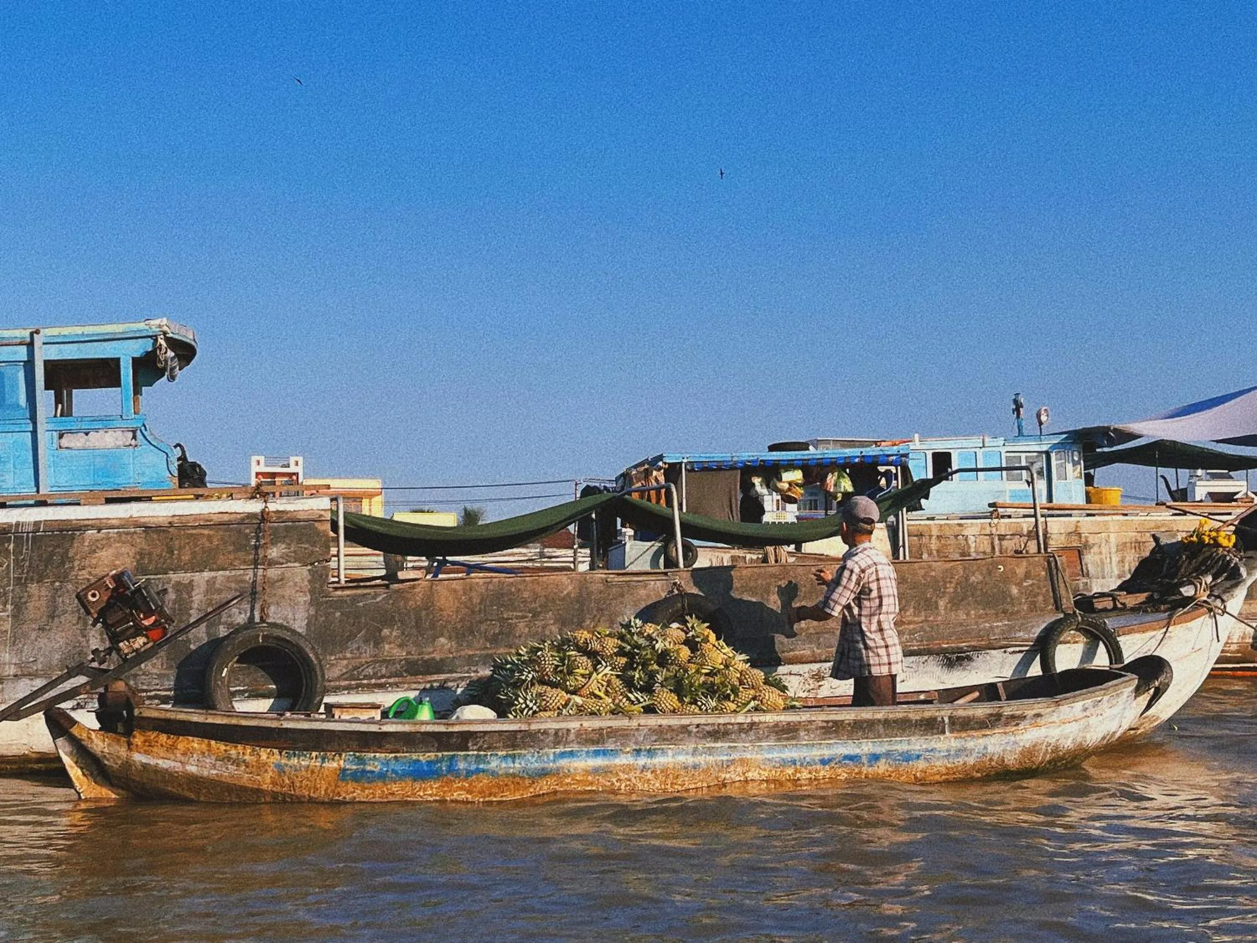 Day in Cato Homestay