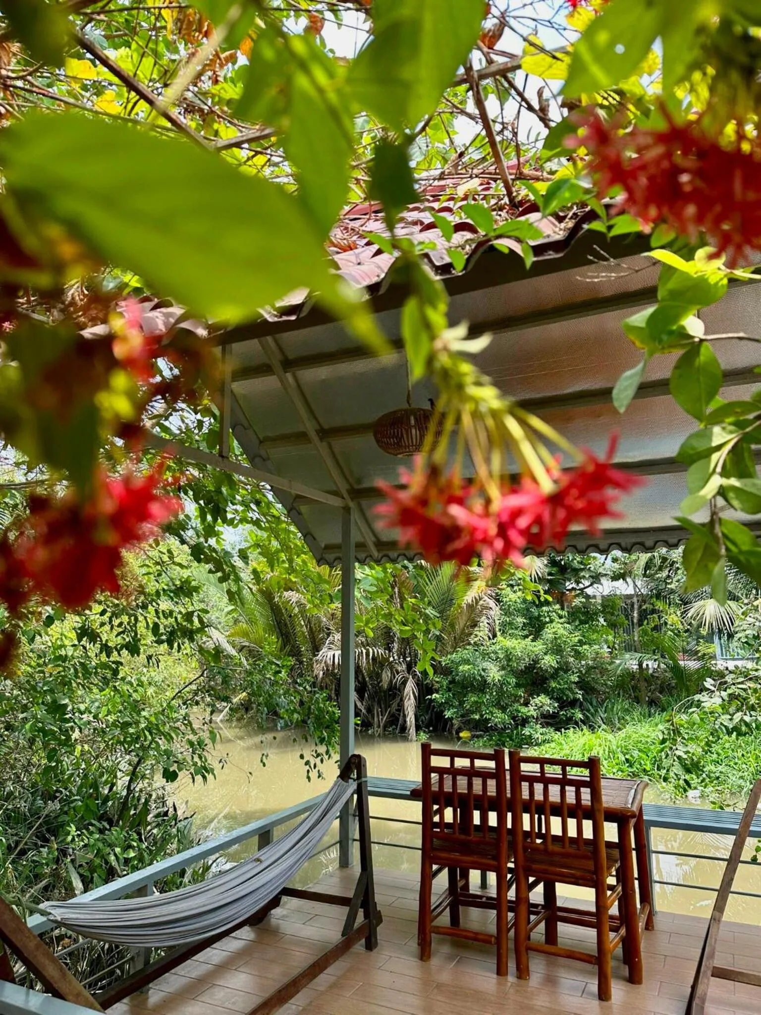 Garden in Cato Homestay