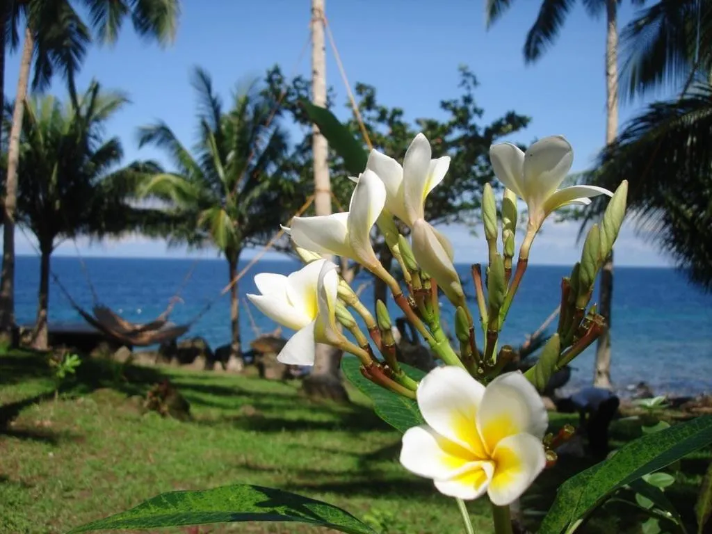 Day in Camiguin Volcan Beach Eco Retreat & Dive Resort
