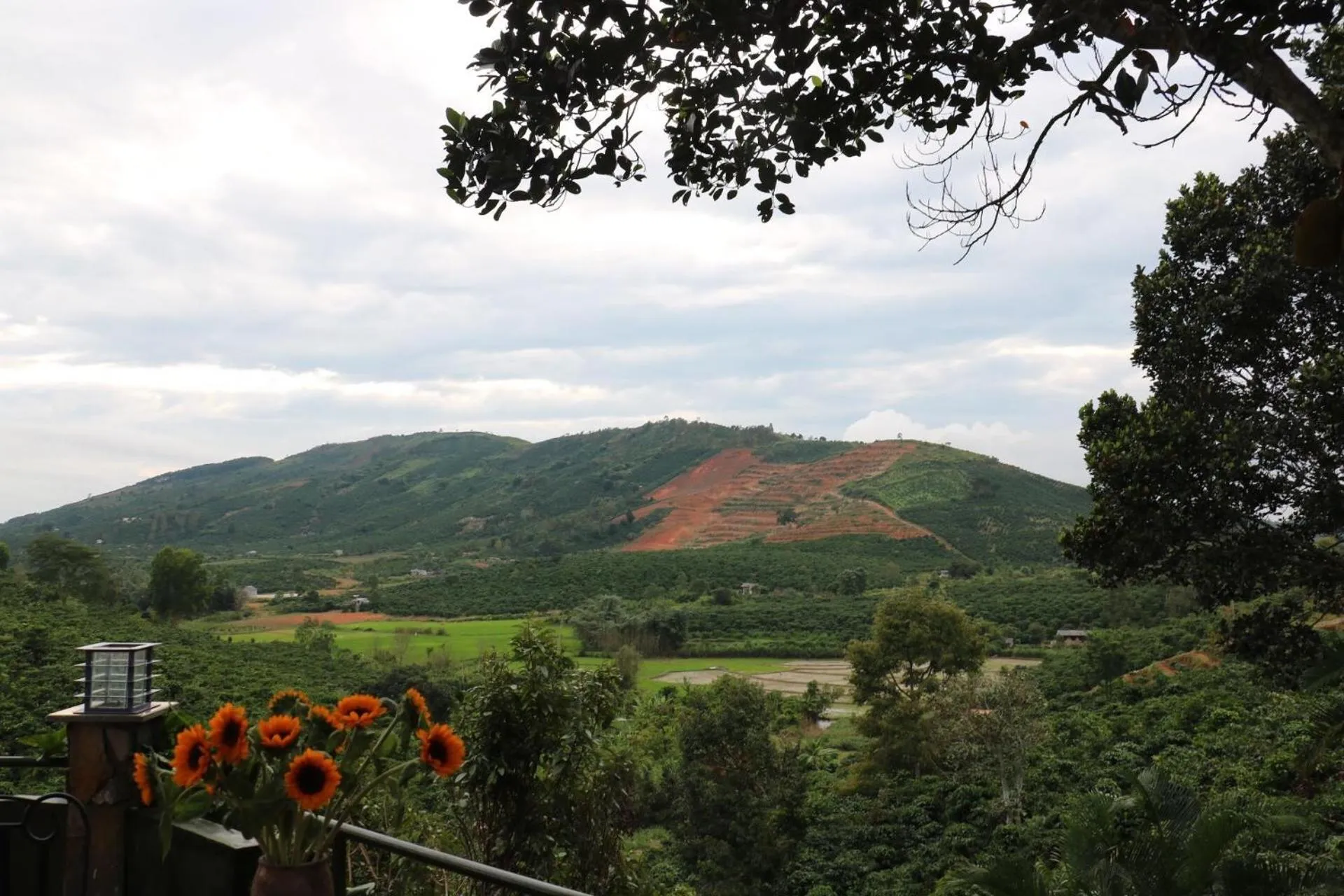 Natural landscape in Ivory Falls Villa