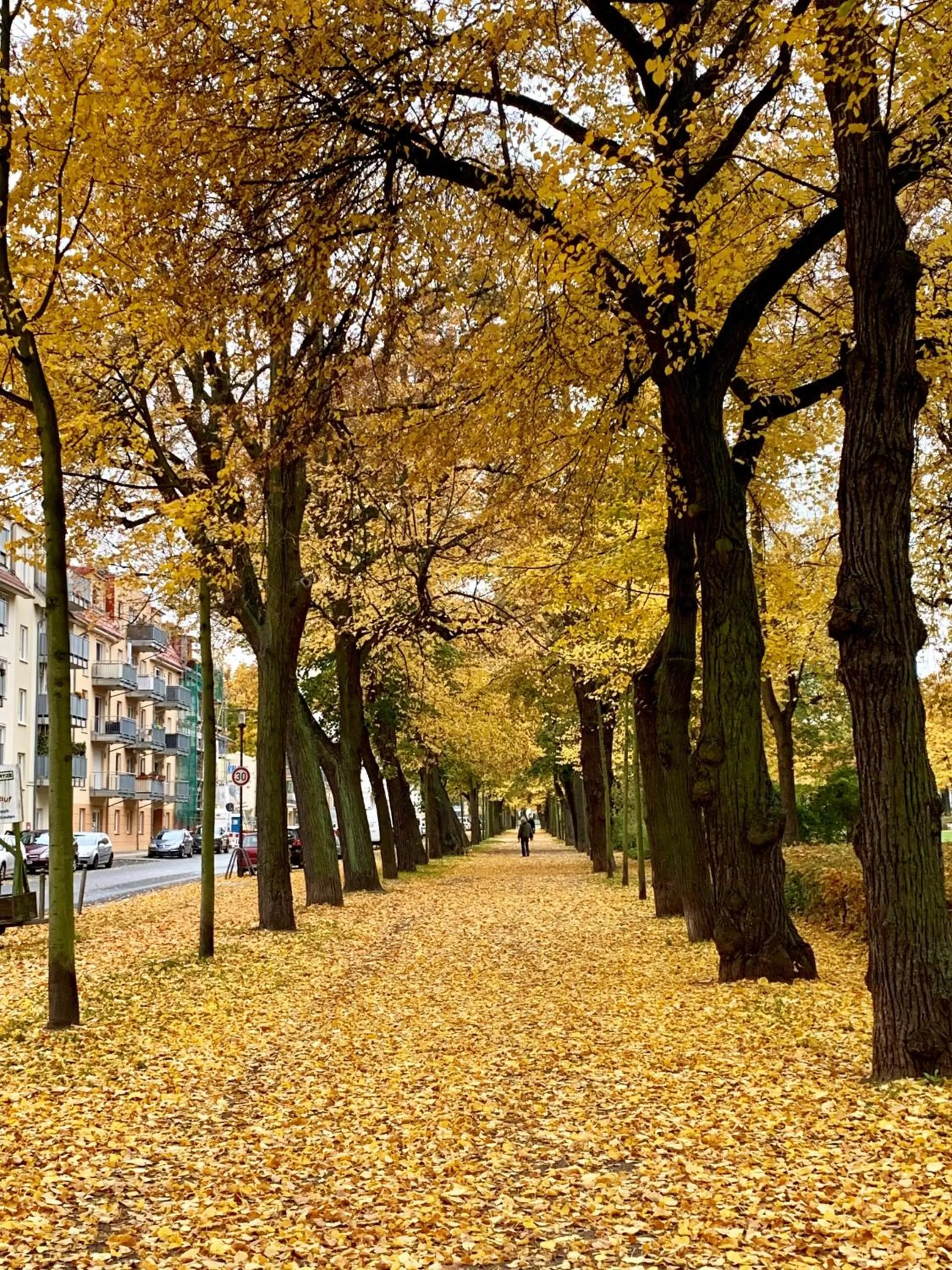 Natural landscape in Viadrina Rooms & Apartments Frankfurt-Oder am Park im Zentrum