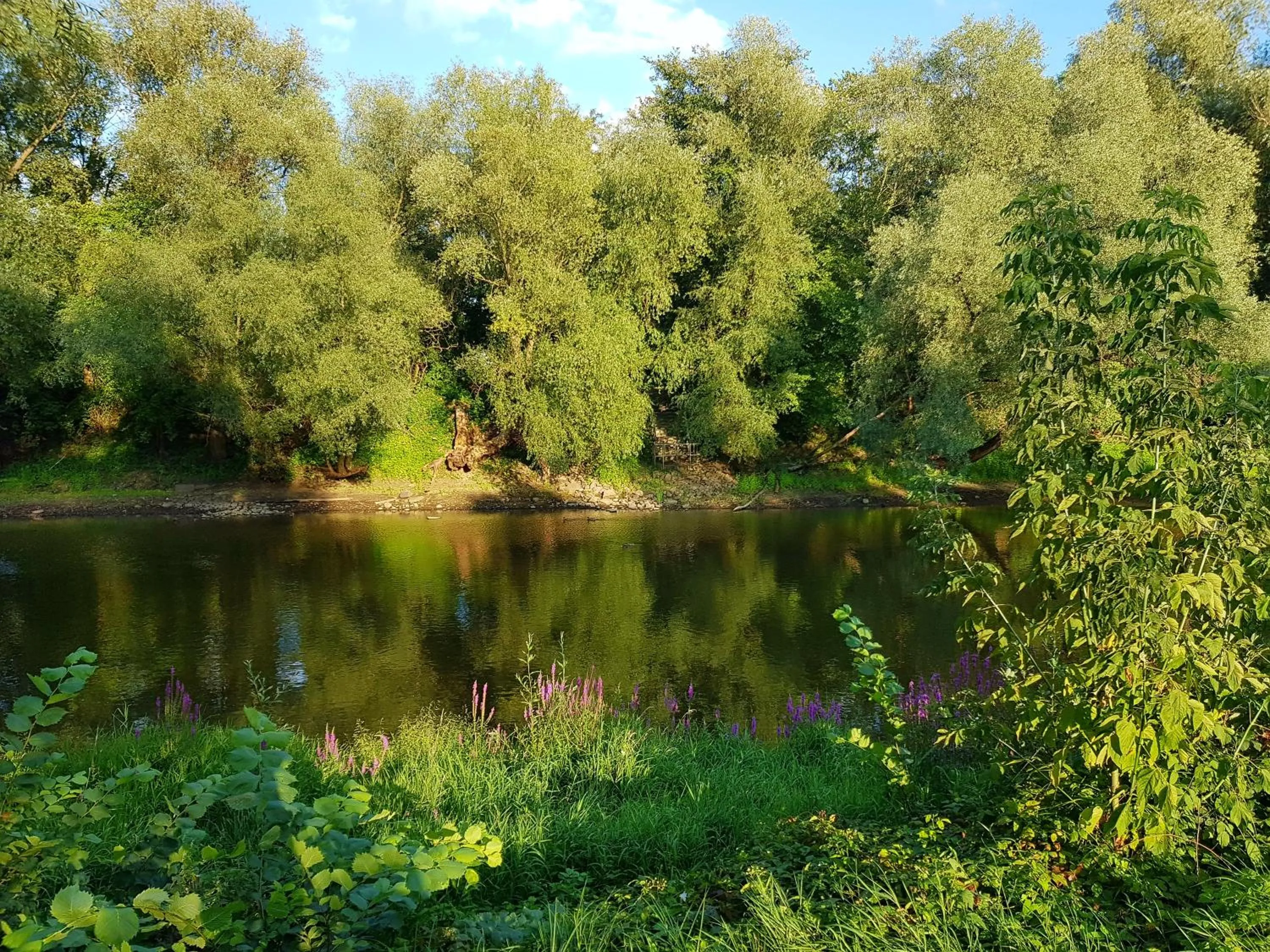 Viadrina Rooms & Apartments Frankfurt-Oder am Park im Zentrum