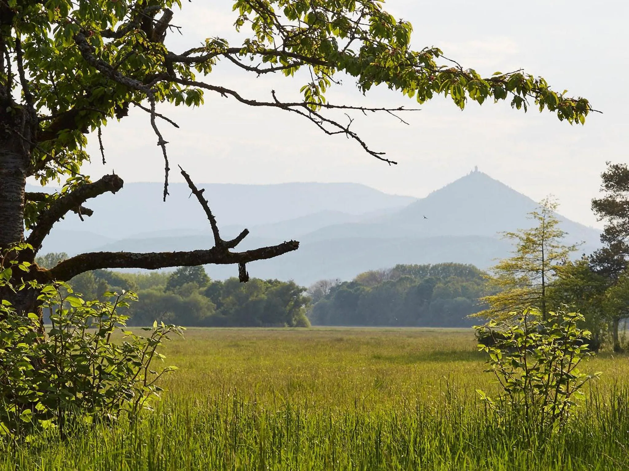 Garden in Les Prés D'ondine