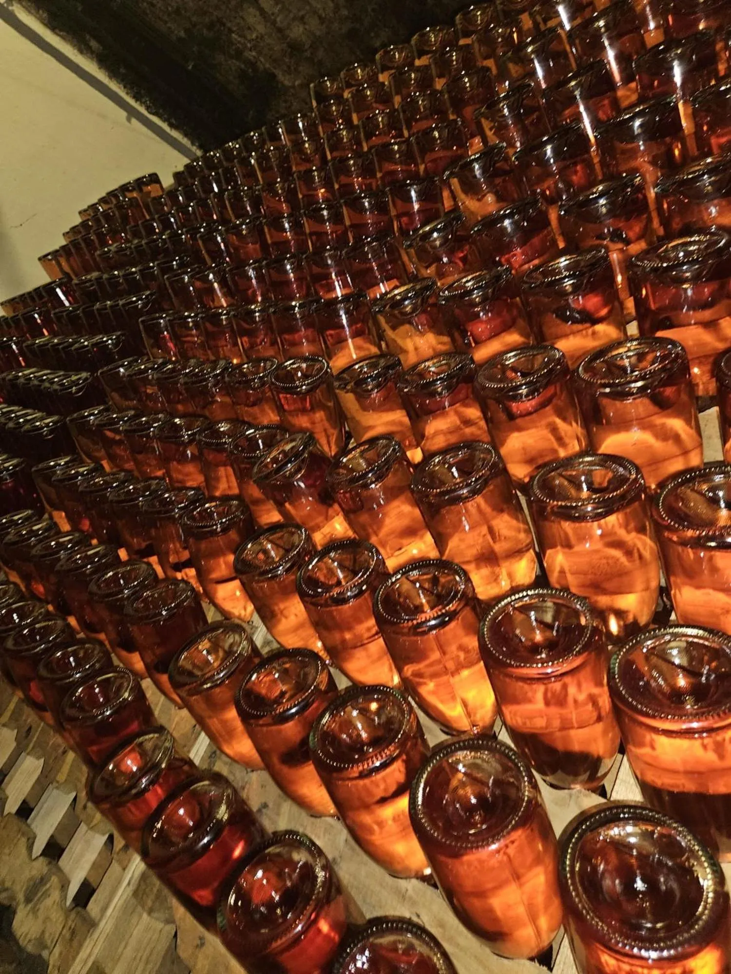 Property building in Pensiunea Rhein