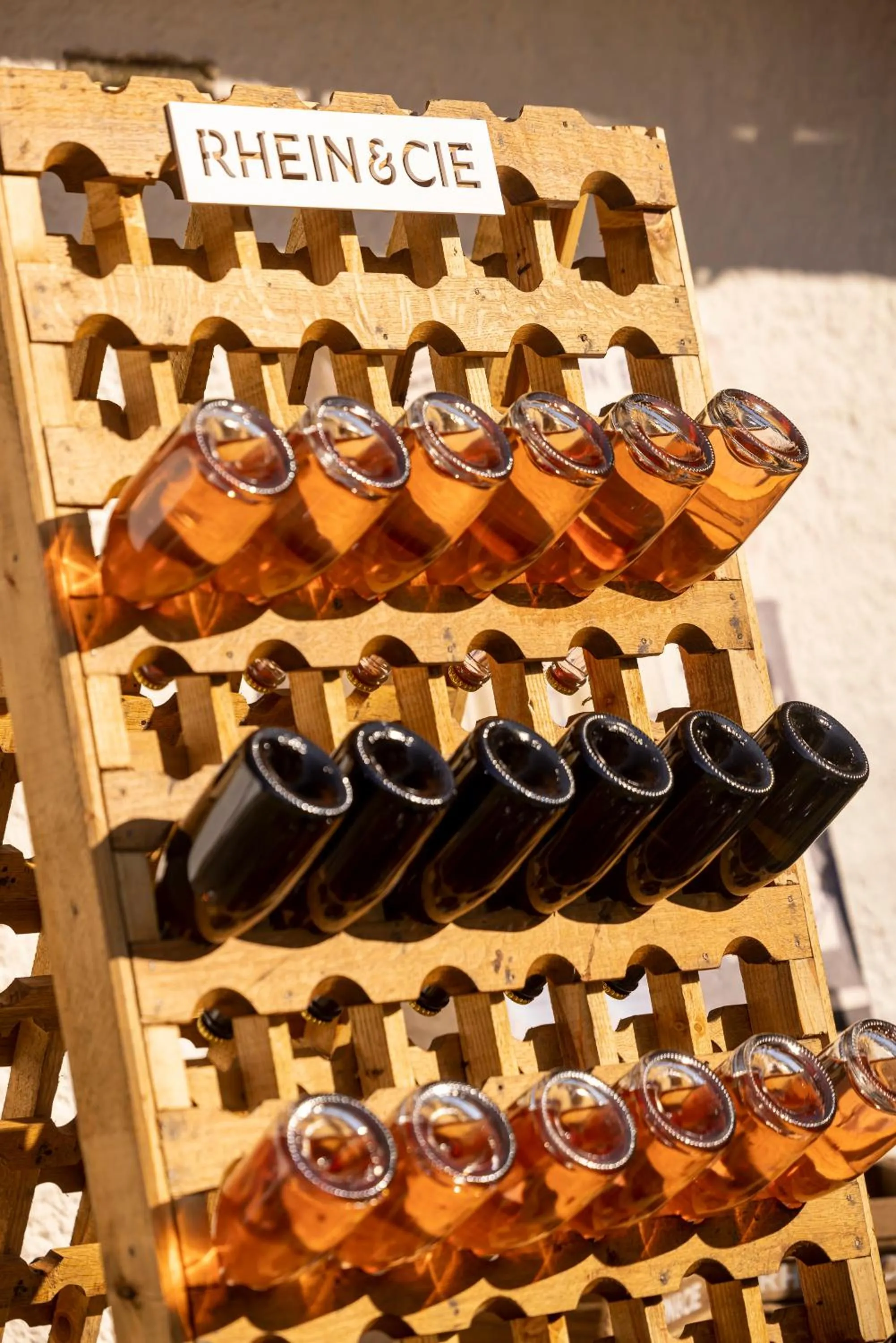 Property building in Pensiunea Rhein