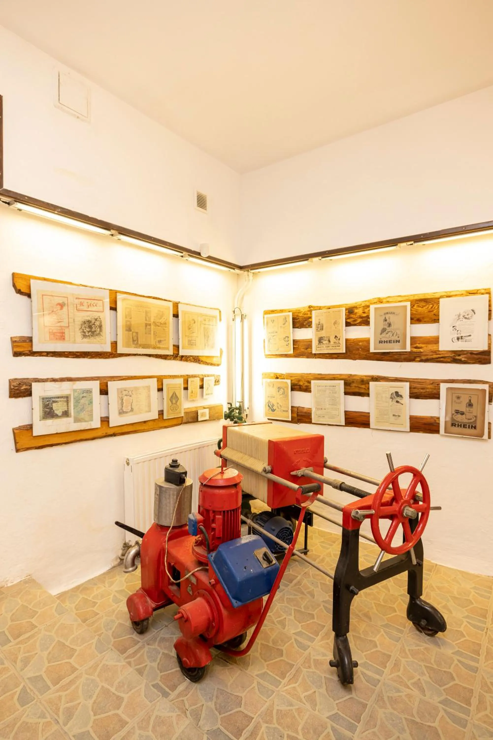 Property building in Pensiunea Rhein