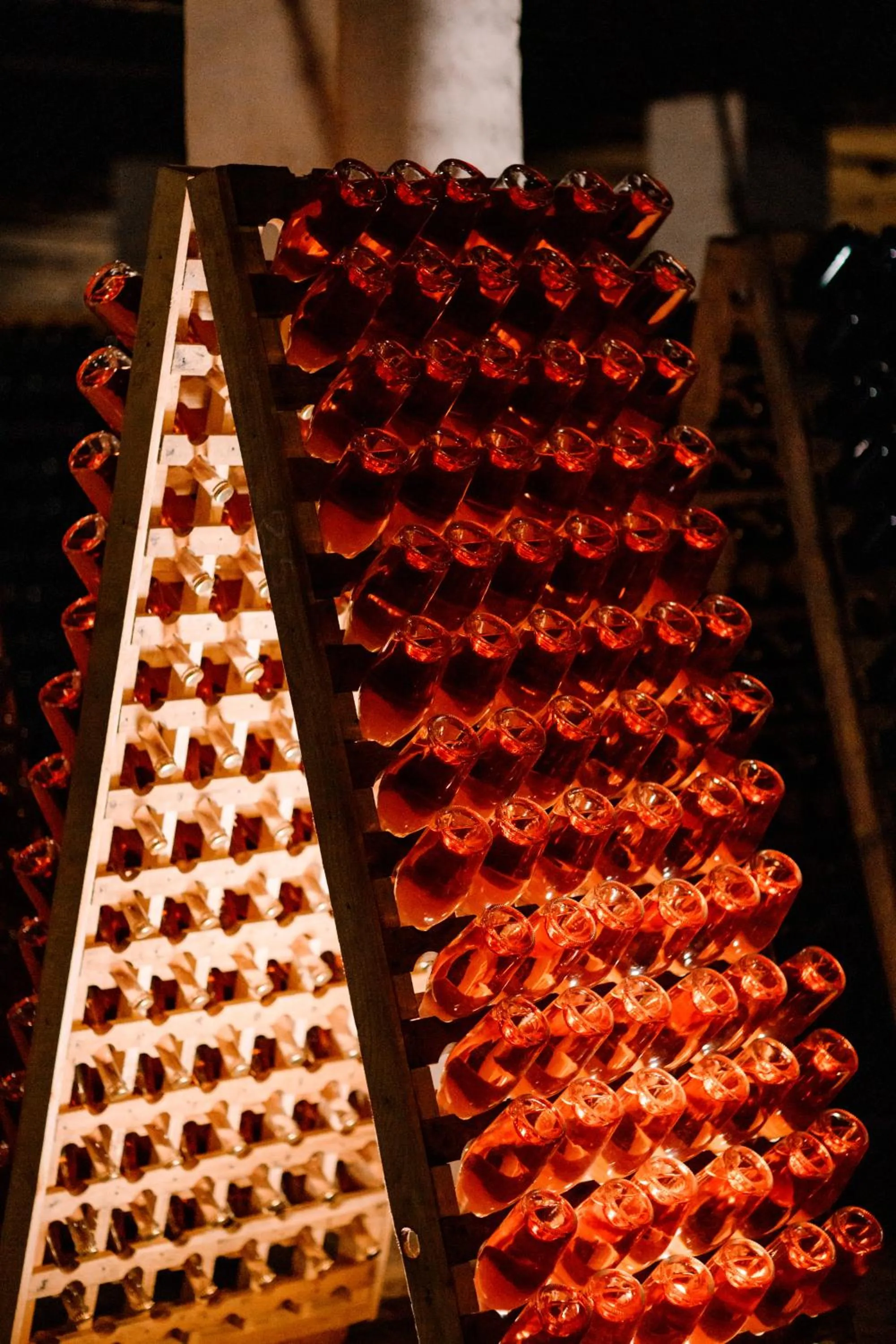 Property building in Pensiunea Rhein