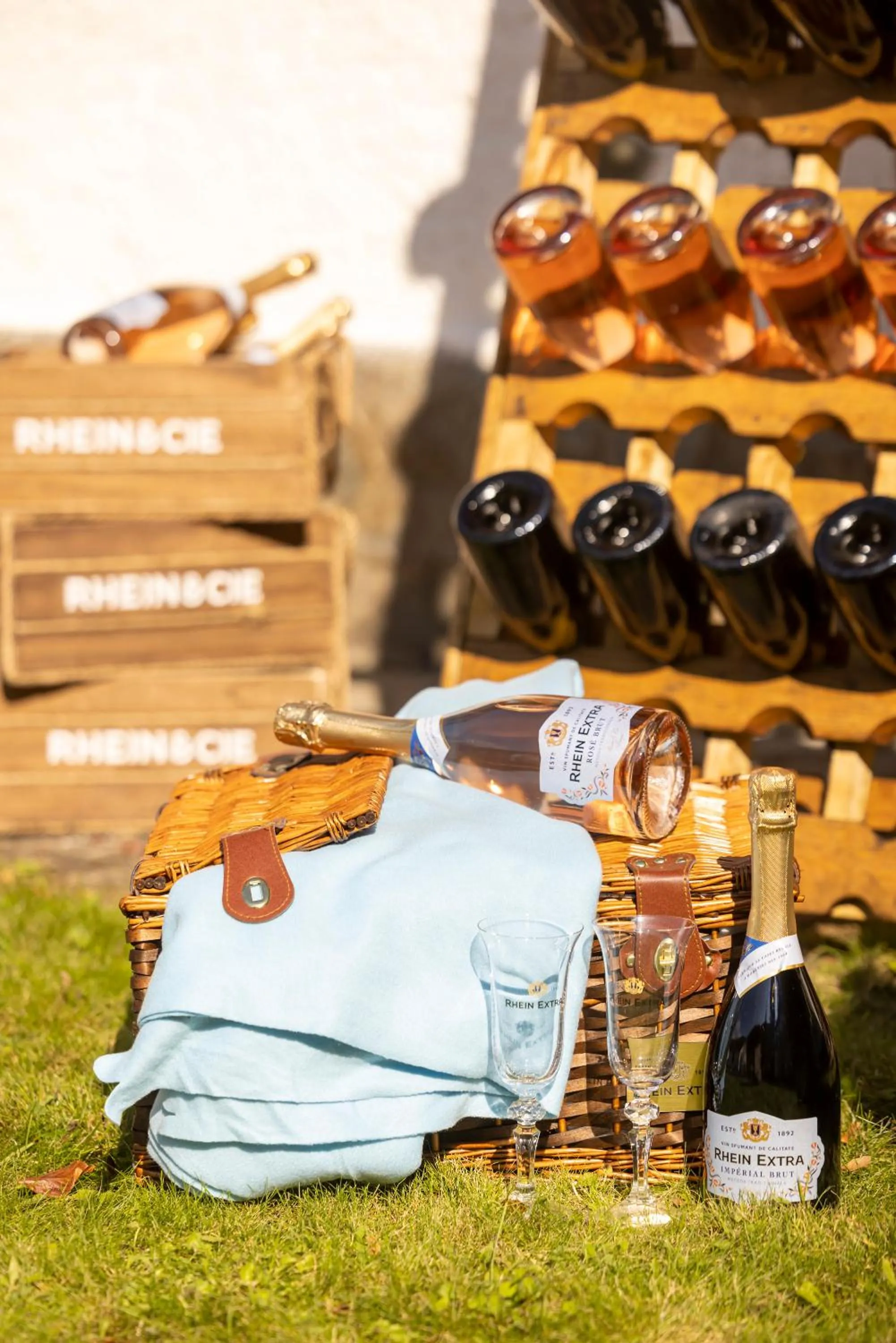 Property building in Pensiunea Rhein