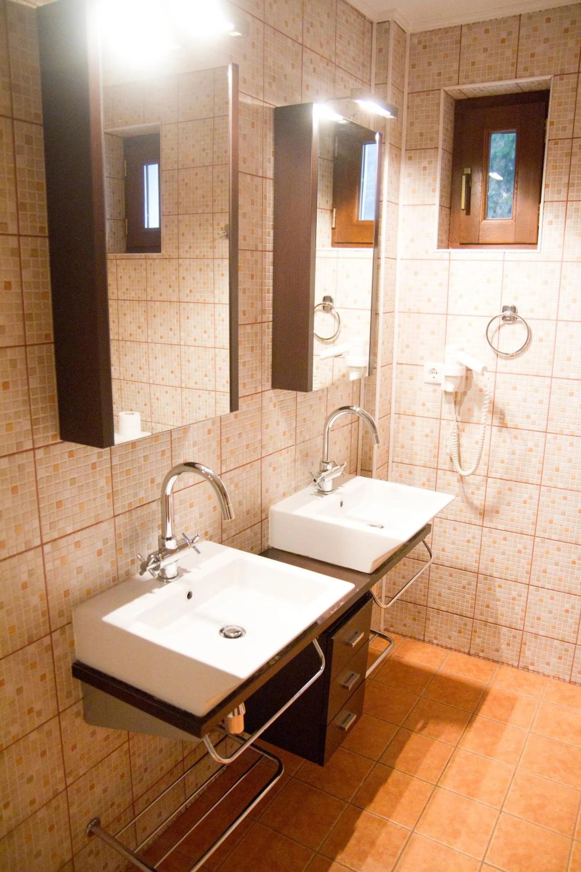 Bathroom in Pensiunea Rhein