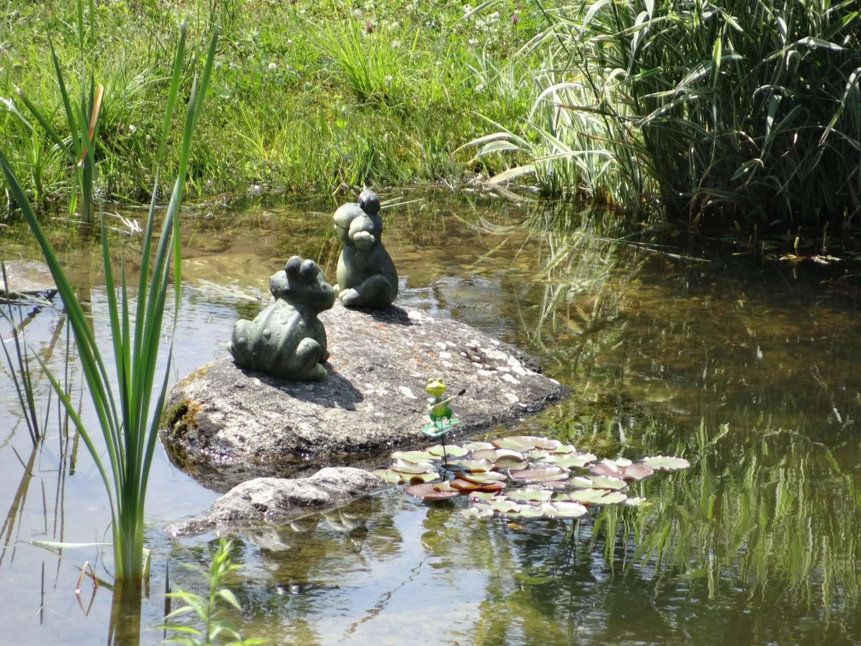 Natural landscape in Stanglehen