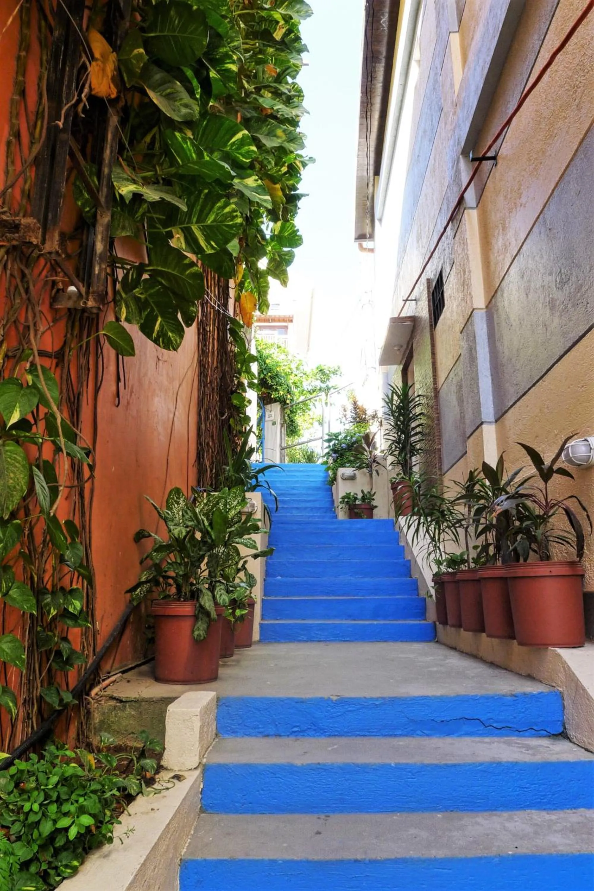 Facade/entrance in Agos Boracay Rooms + Beds
