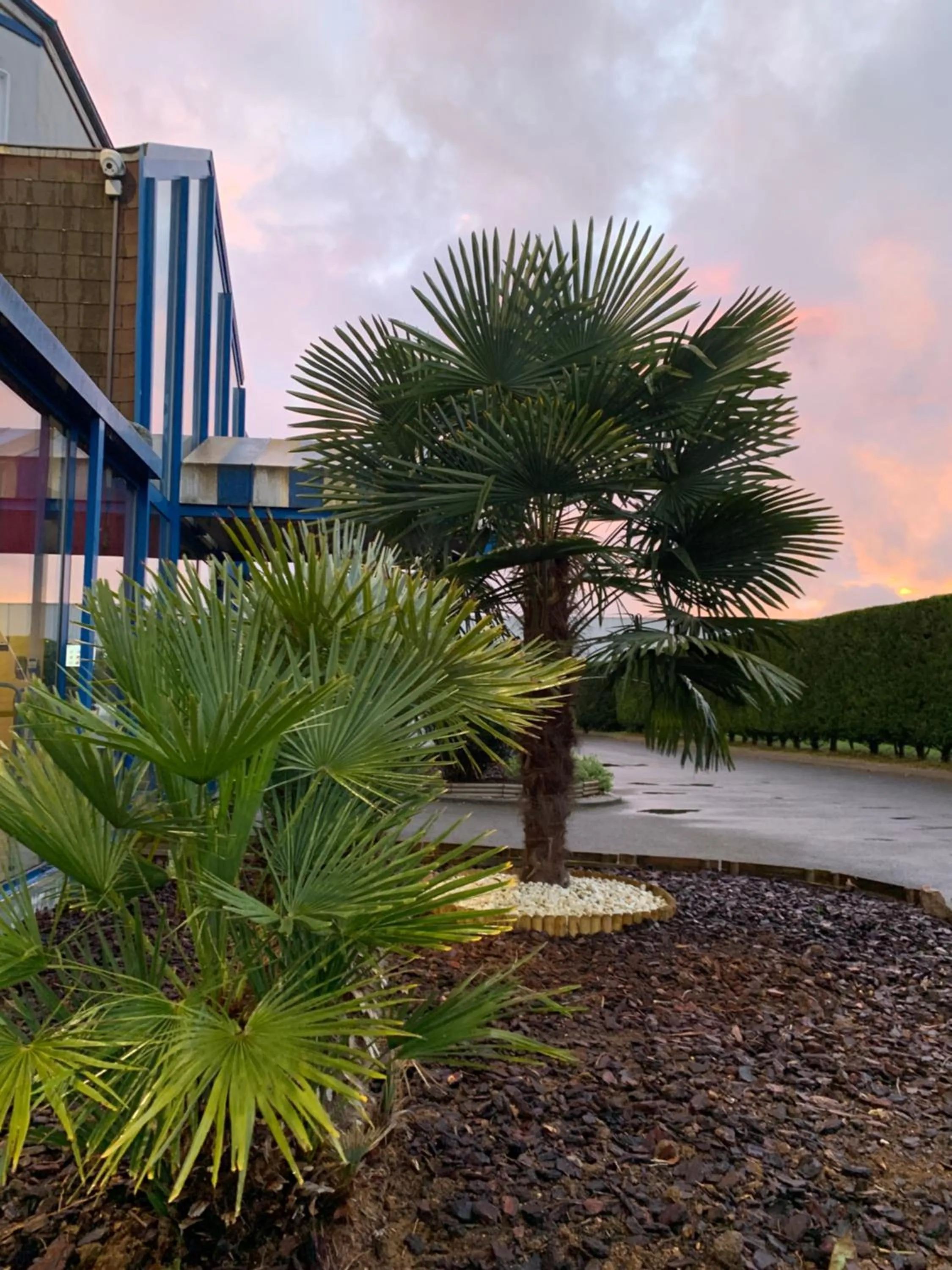 Garden in Europe Hôtel